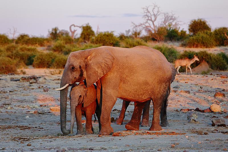 prachtige-reisreportage-botswana-van-wilmar-dik