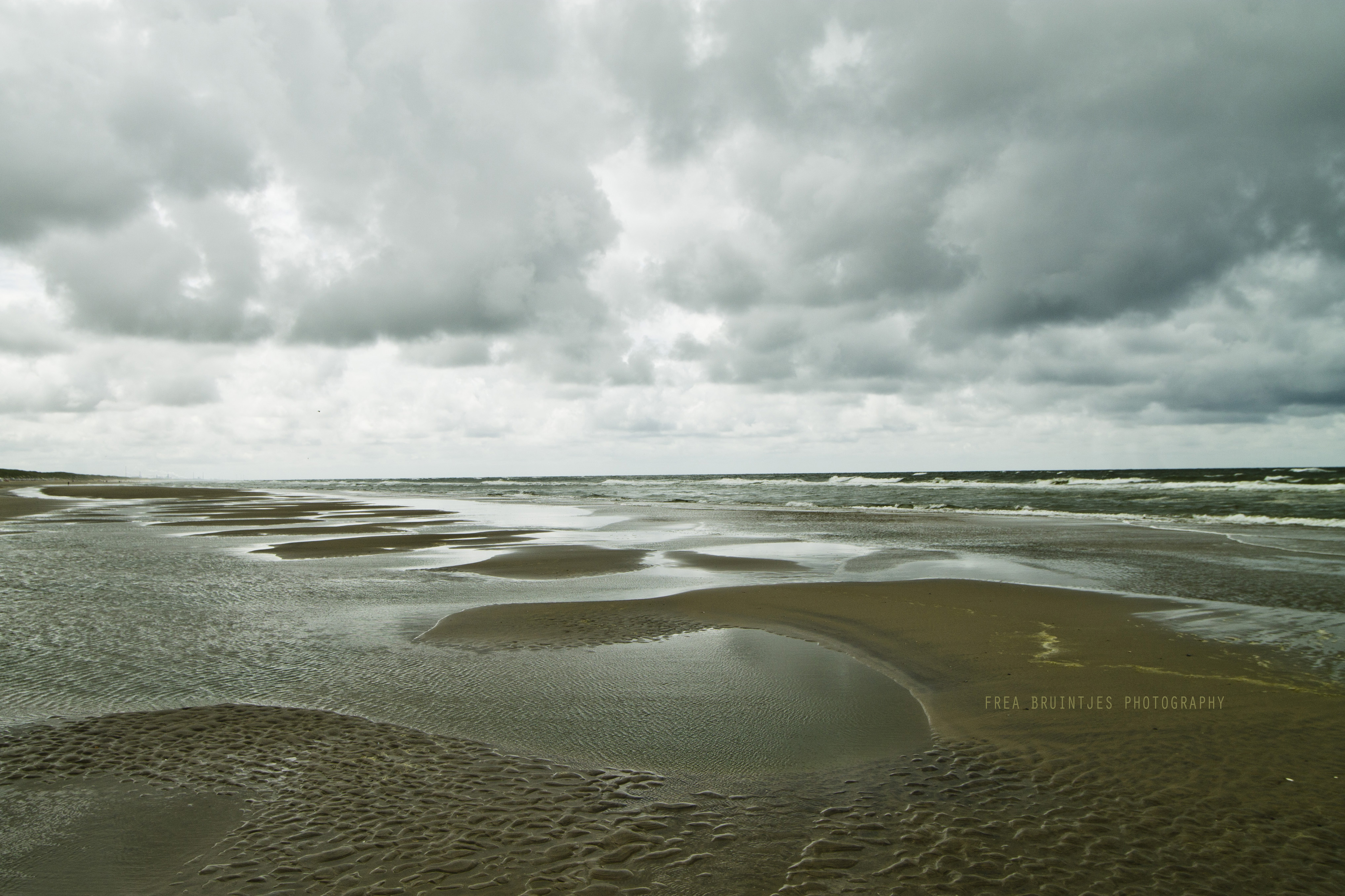 to-the-sea-to-the-sea-3