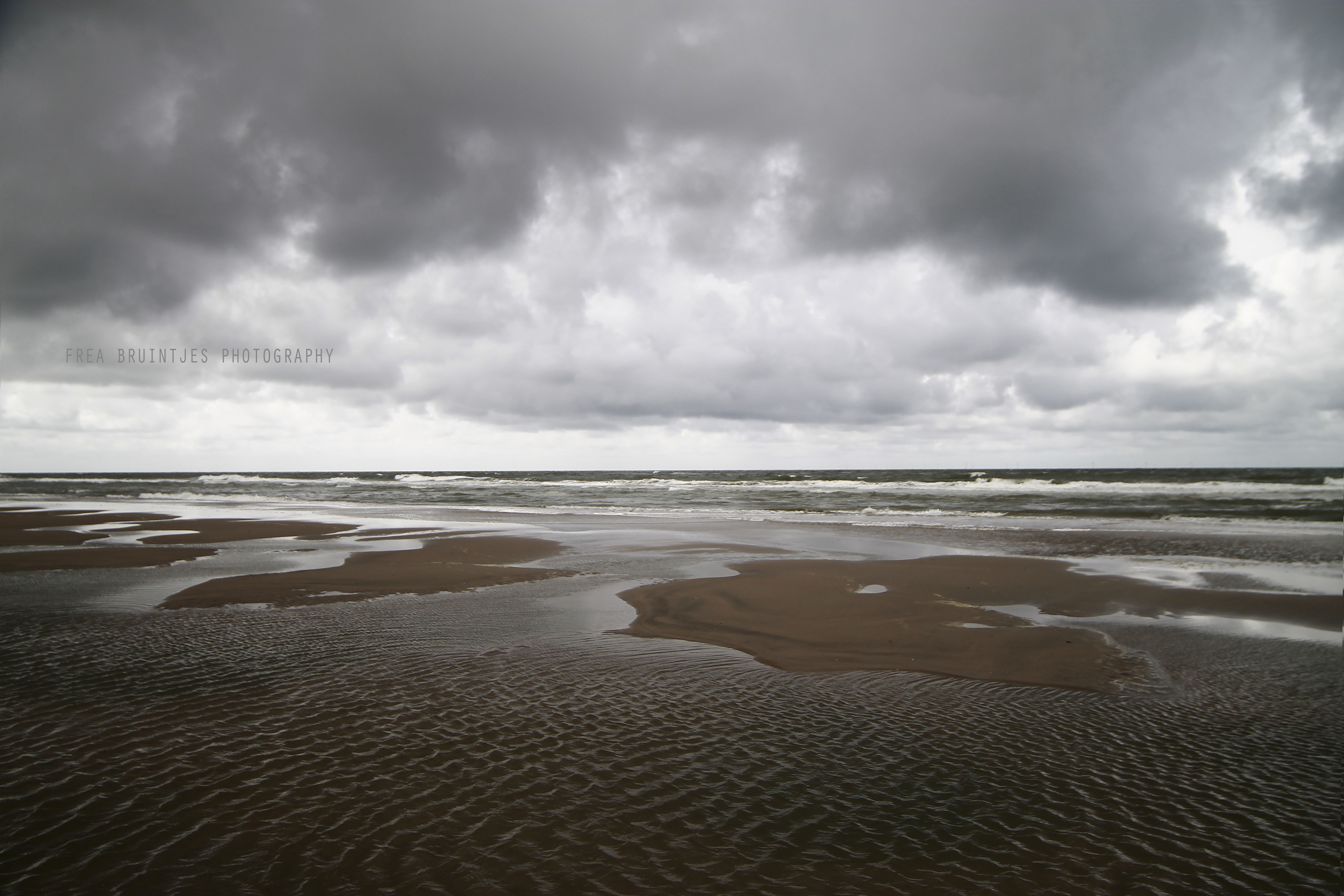 to-the-sea-to-the-sea-1