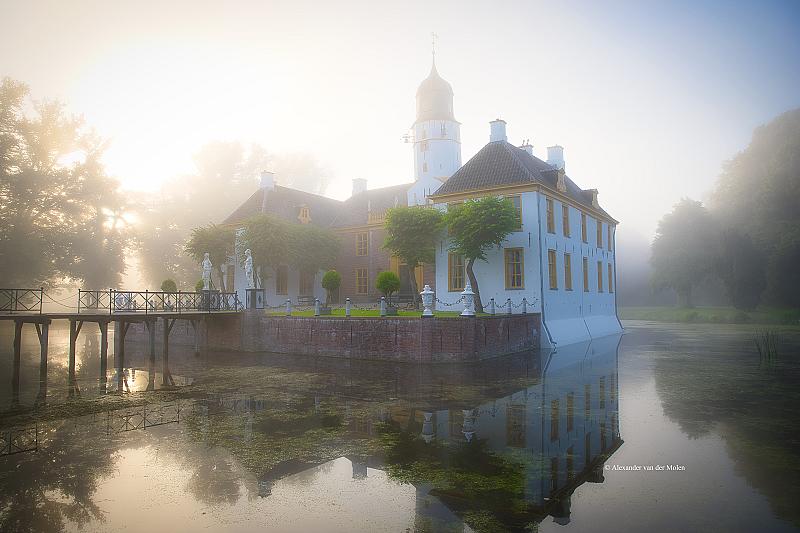 spotlight-alexander-van-der-molen