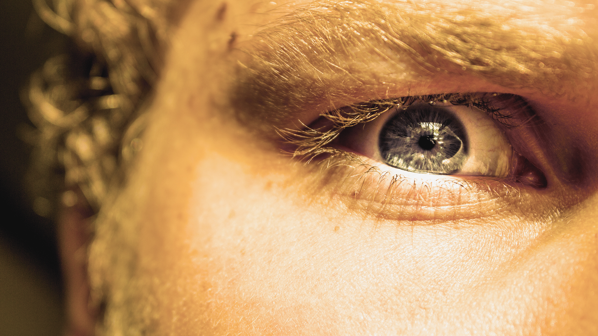 how-you-see-the-world