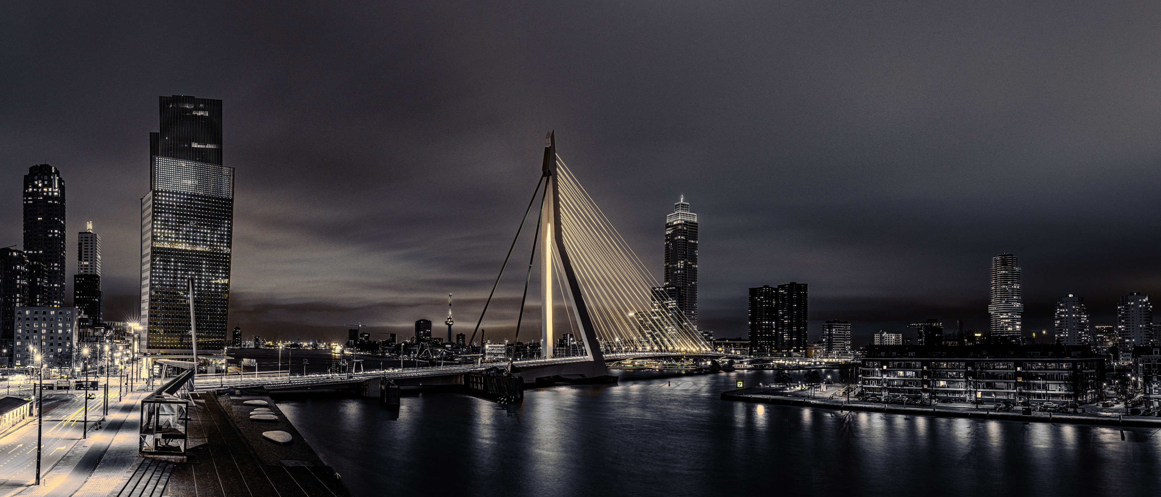 panorama-van-de-erasmusbrug