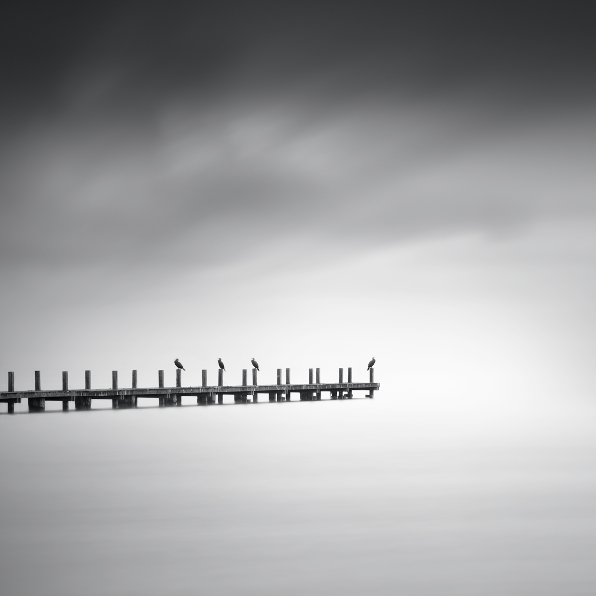 beyond-the-invisible