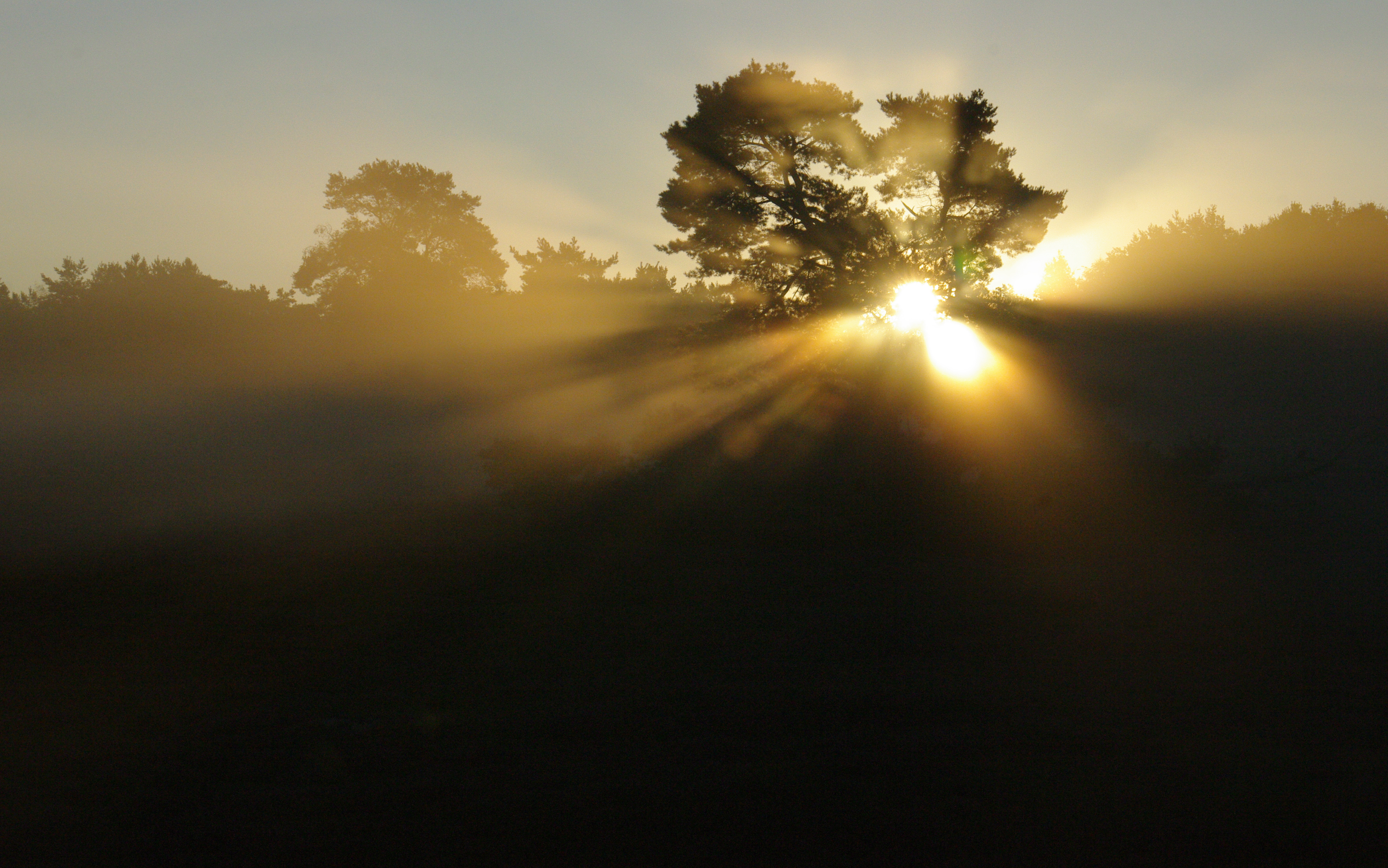 zonsopkomst-over-de-brunssummerheide