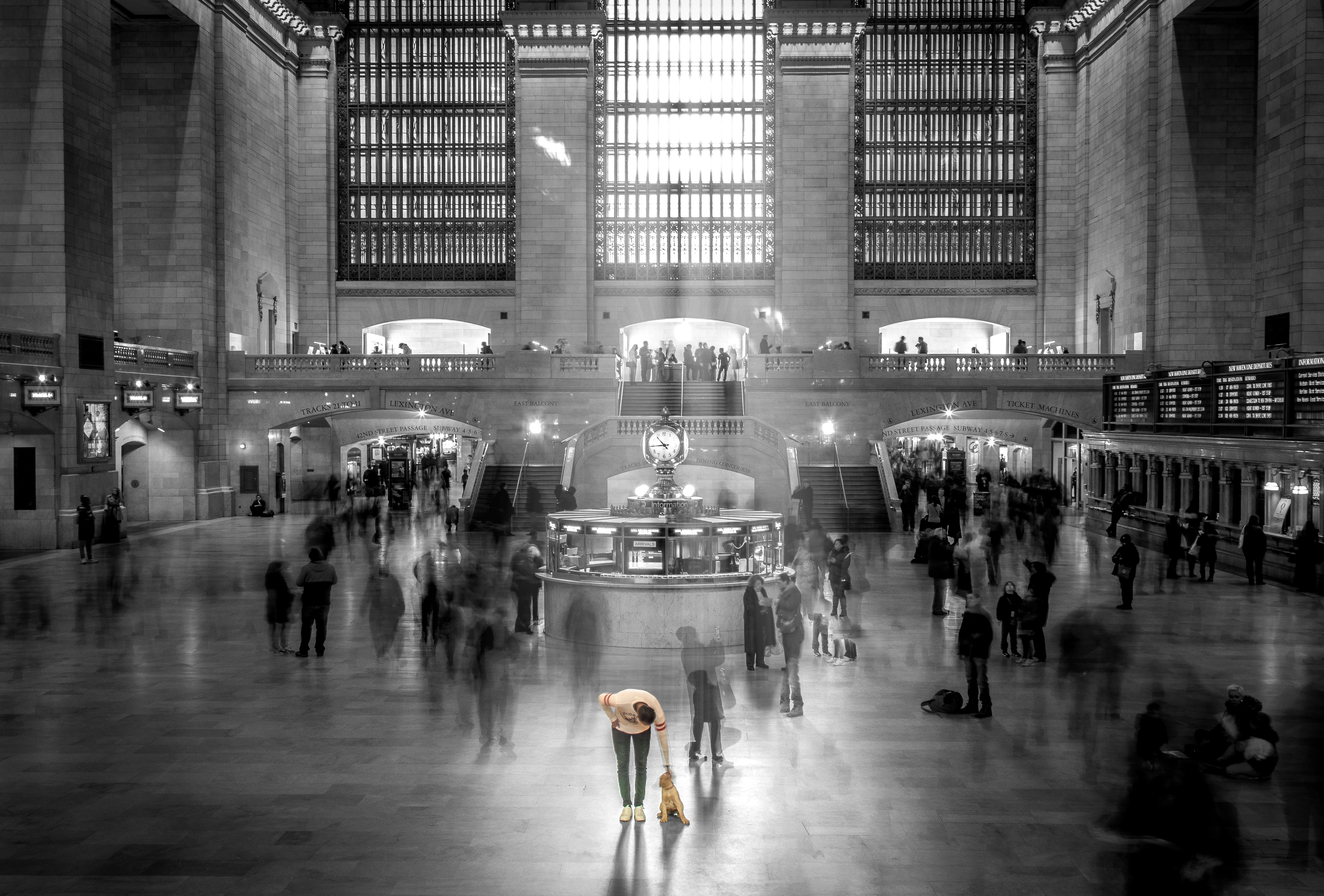 freeze-the-moment-in-the-chaos-of-grand-central-station