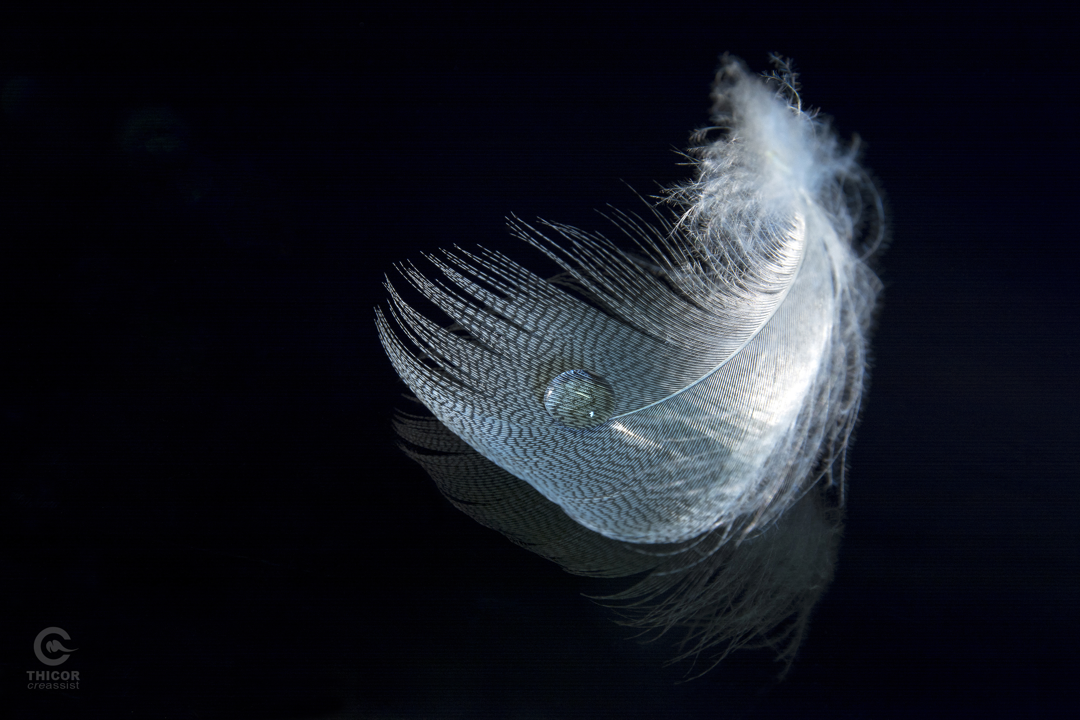 licht-als-een-veertje-2