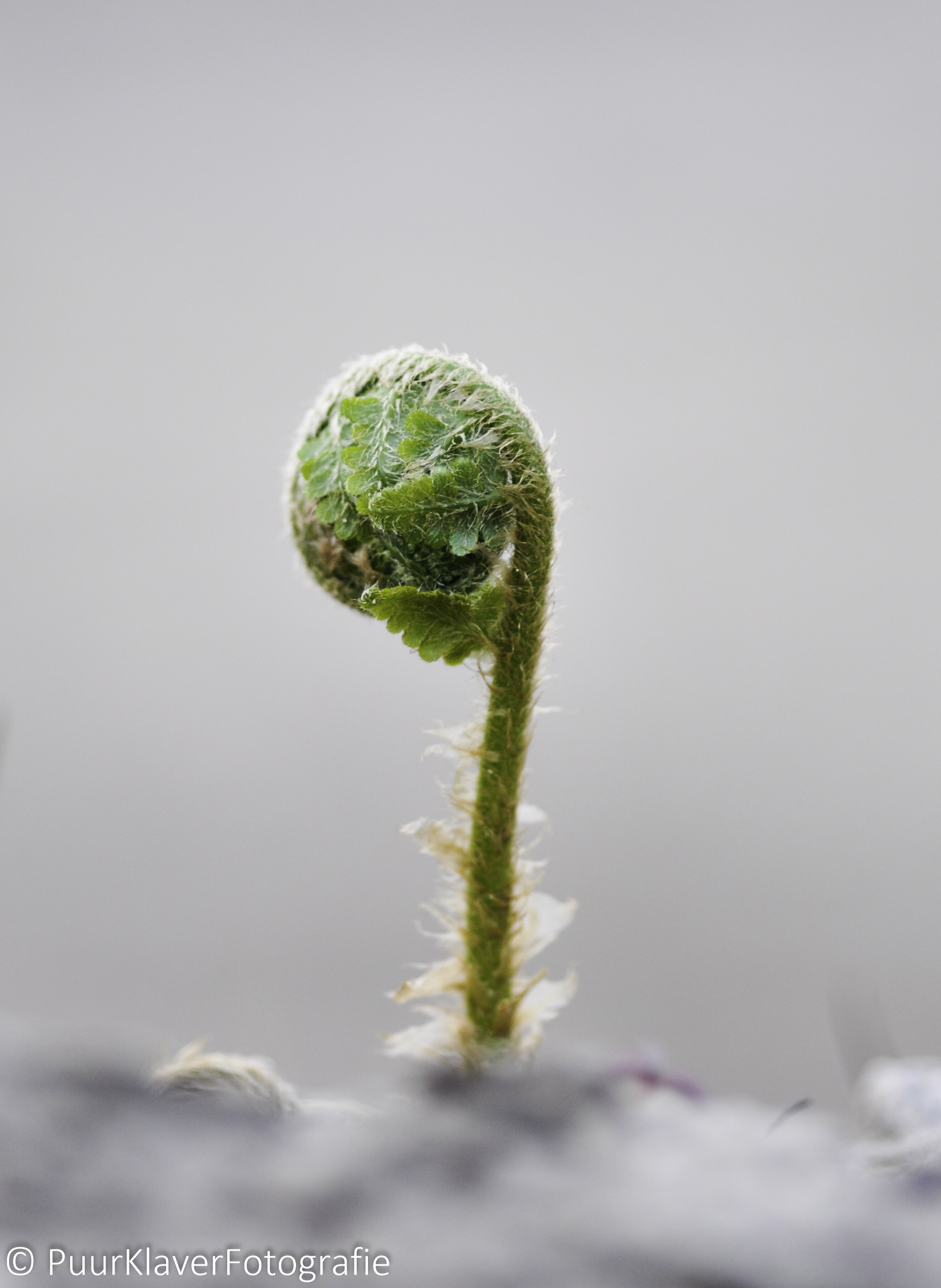 engeltje-in-de-wolken