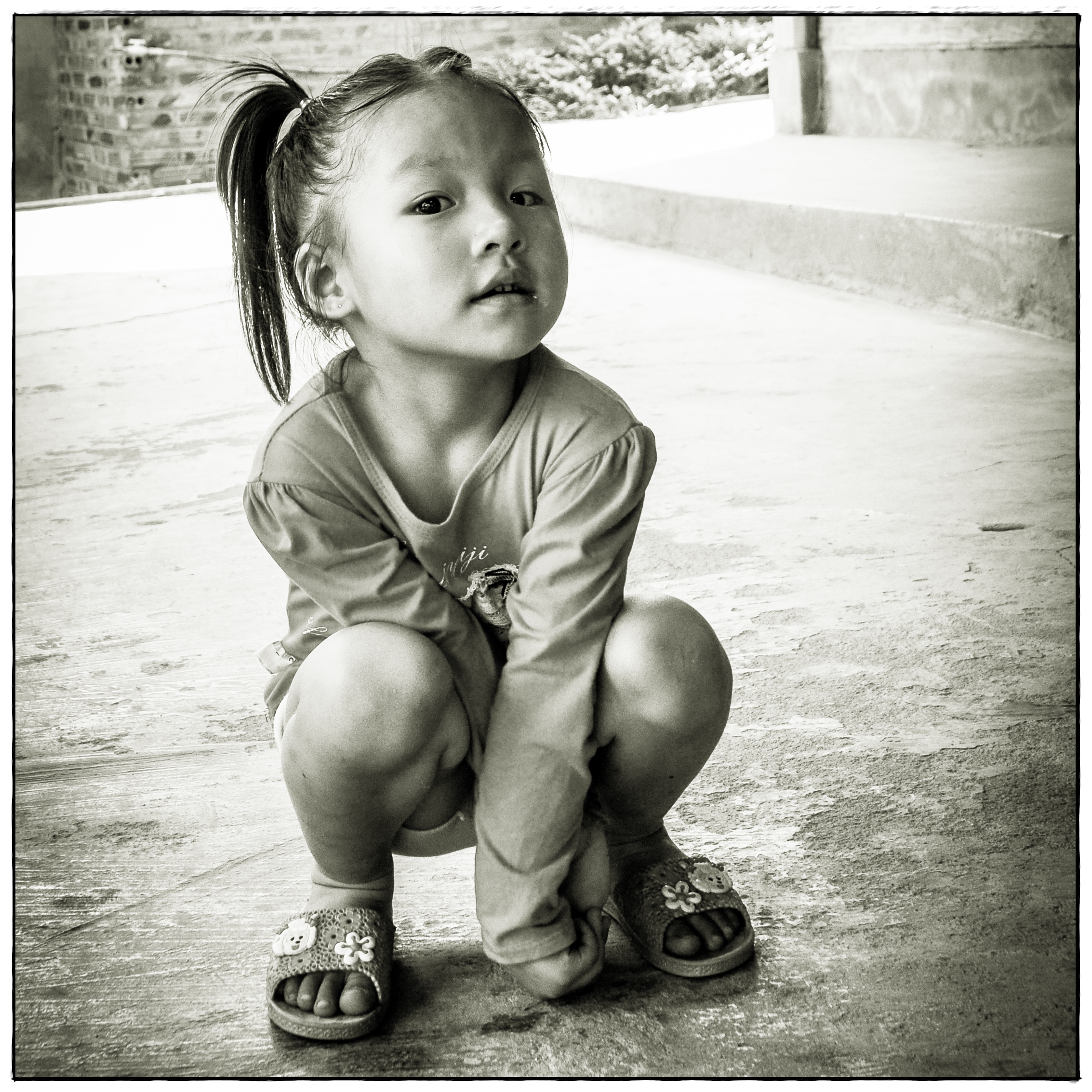 vietnam-sapajust-sit-and-see