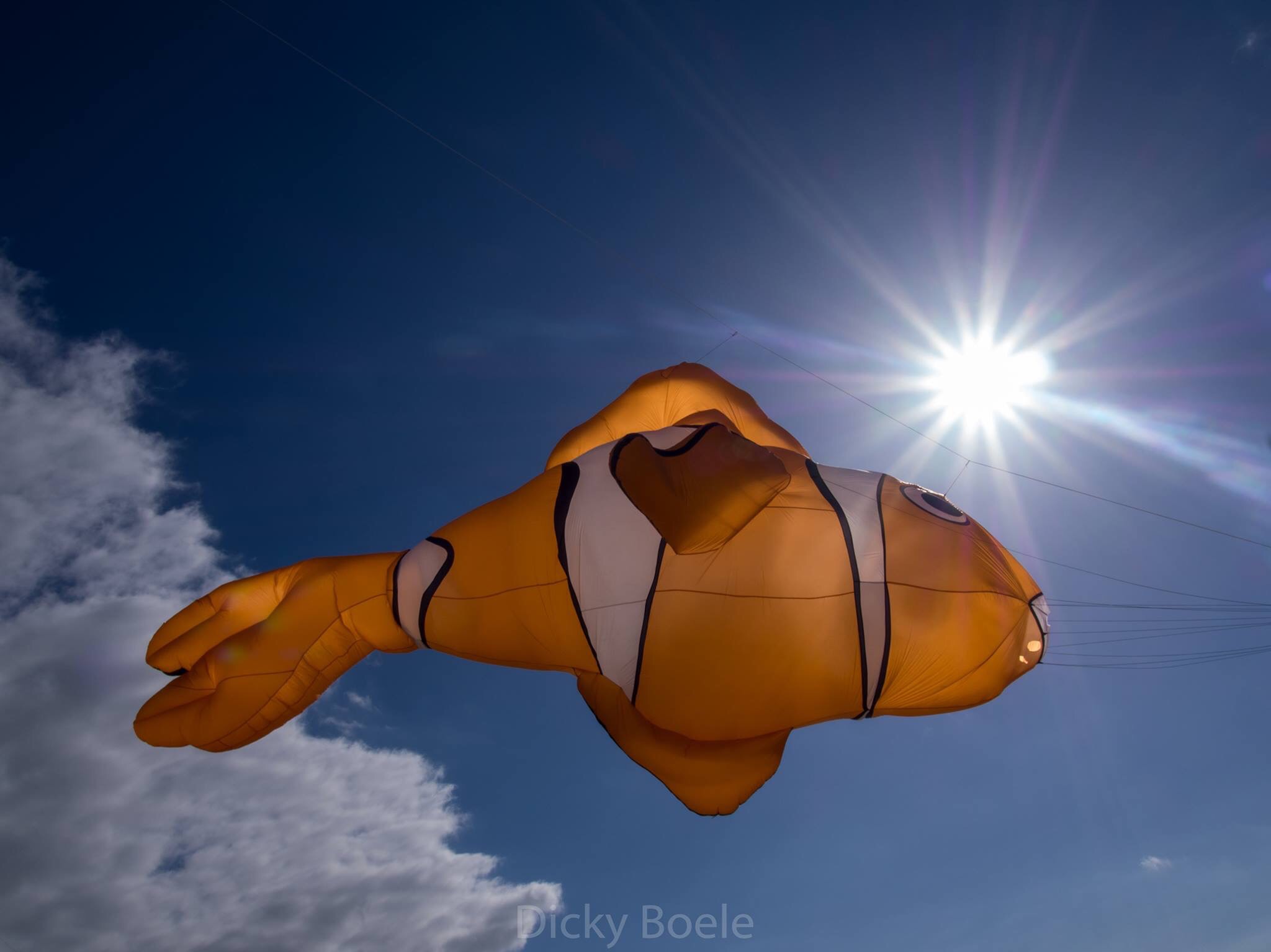 flying-nemo