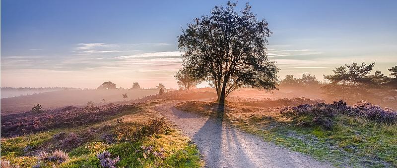 fotowedstrijd-natuur