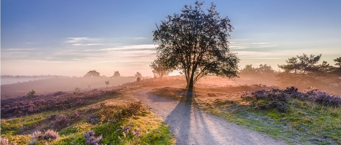 fotowedstrijd-natuur