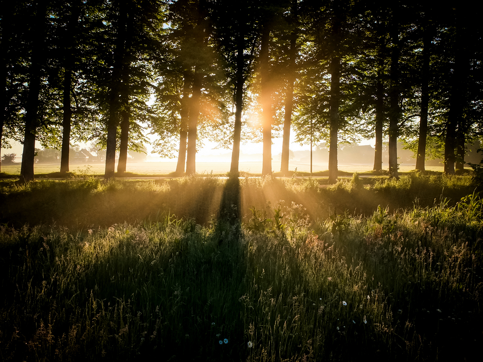 its-a-beautiful-day-2