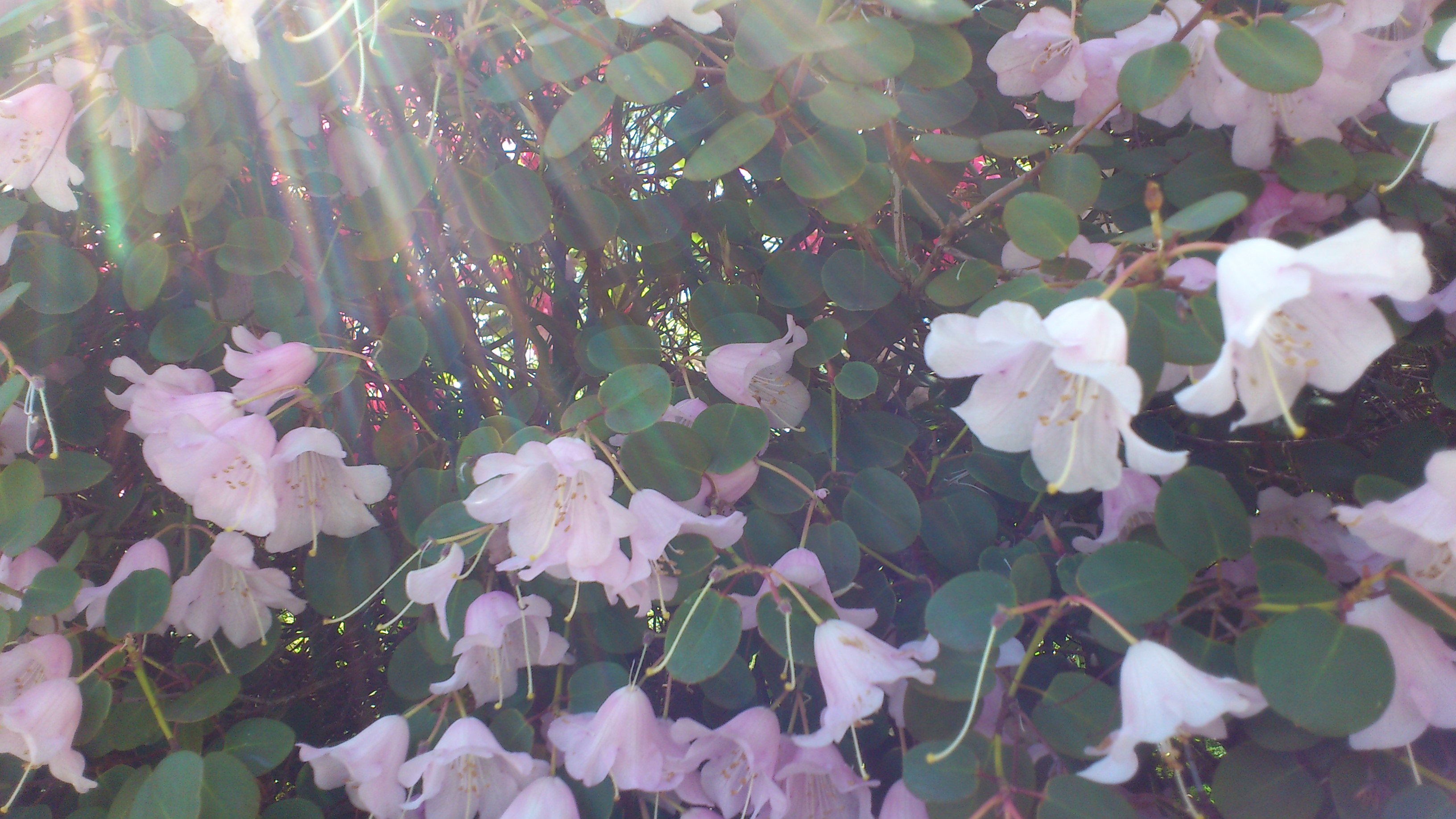 zichtbaar-door-licht