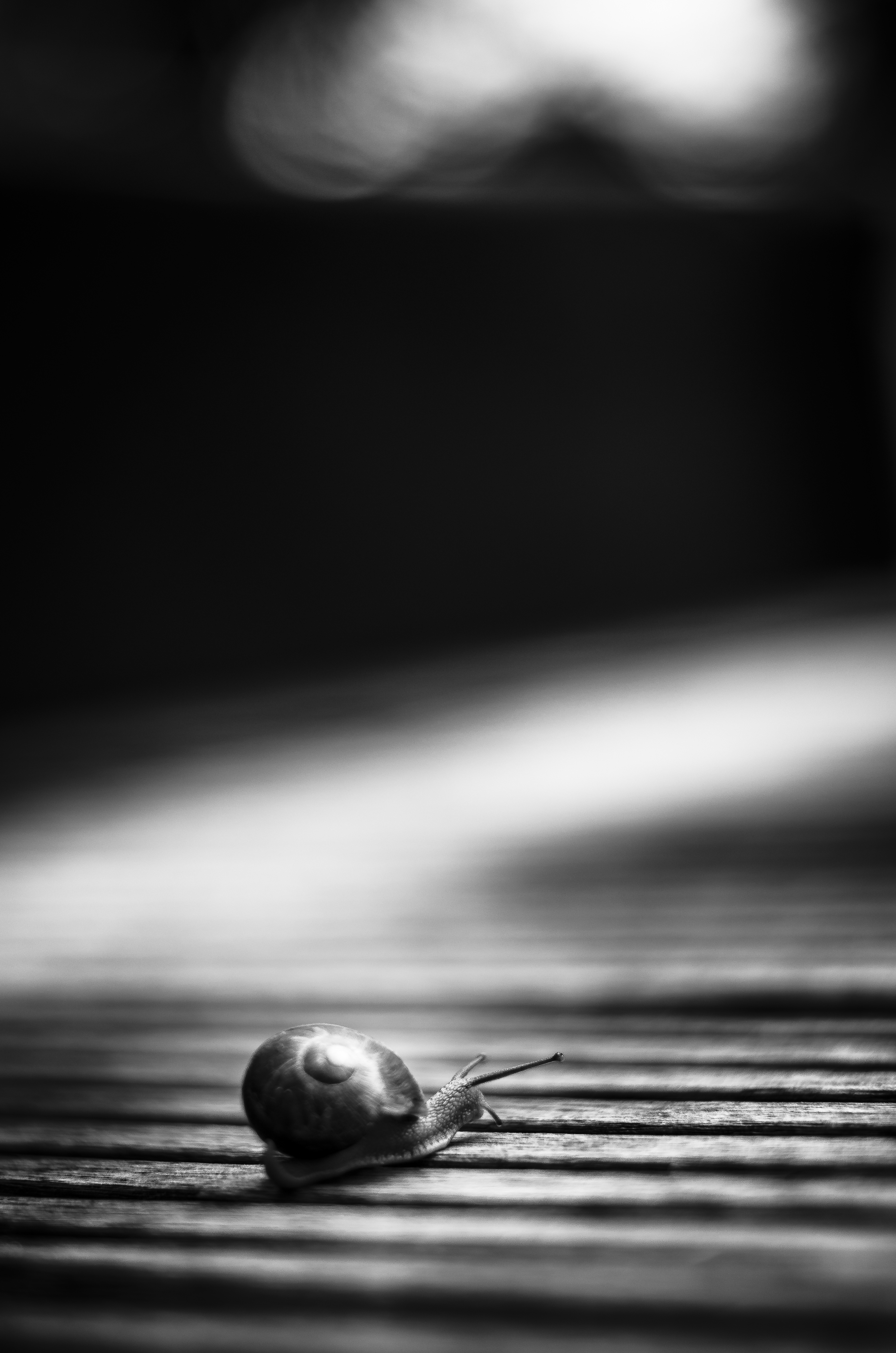 for-the-road-is-dark-and-full-of-terrors