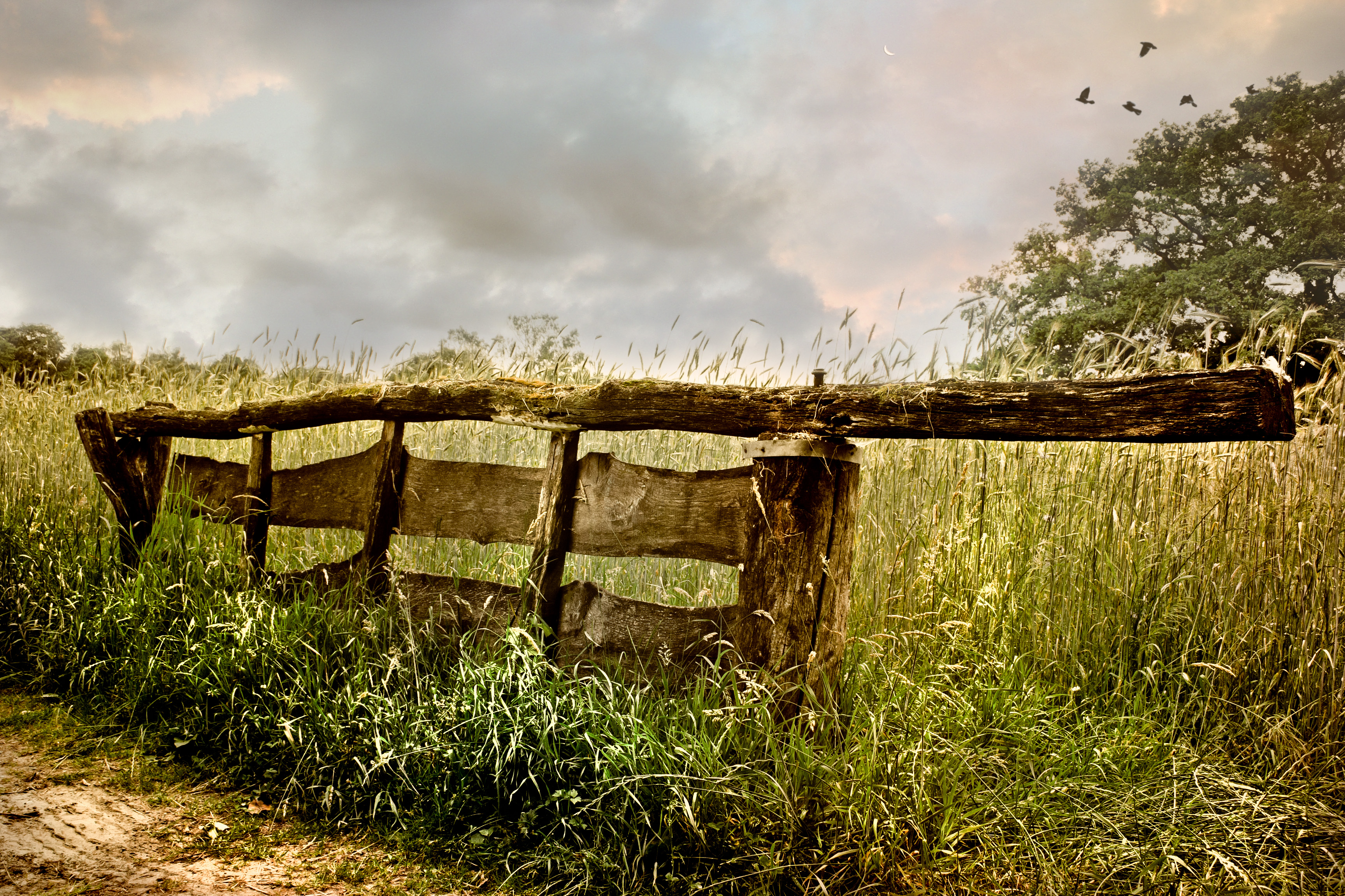 the-old-gate-to-nowhere