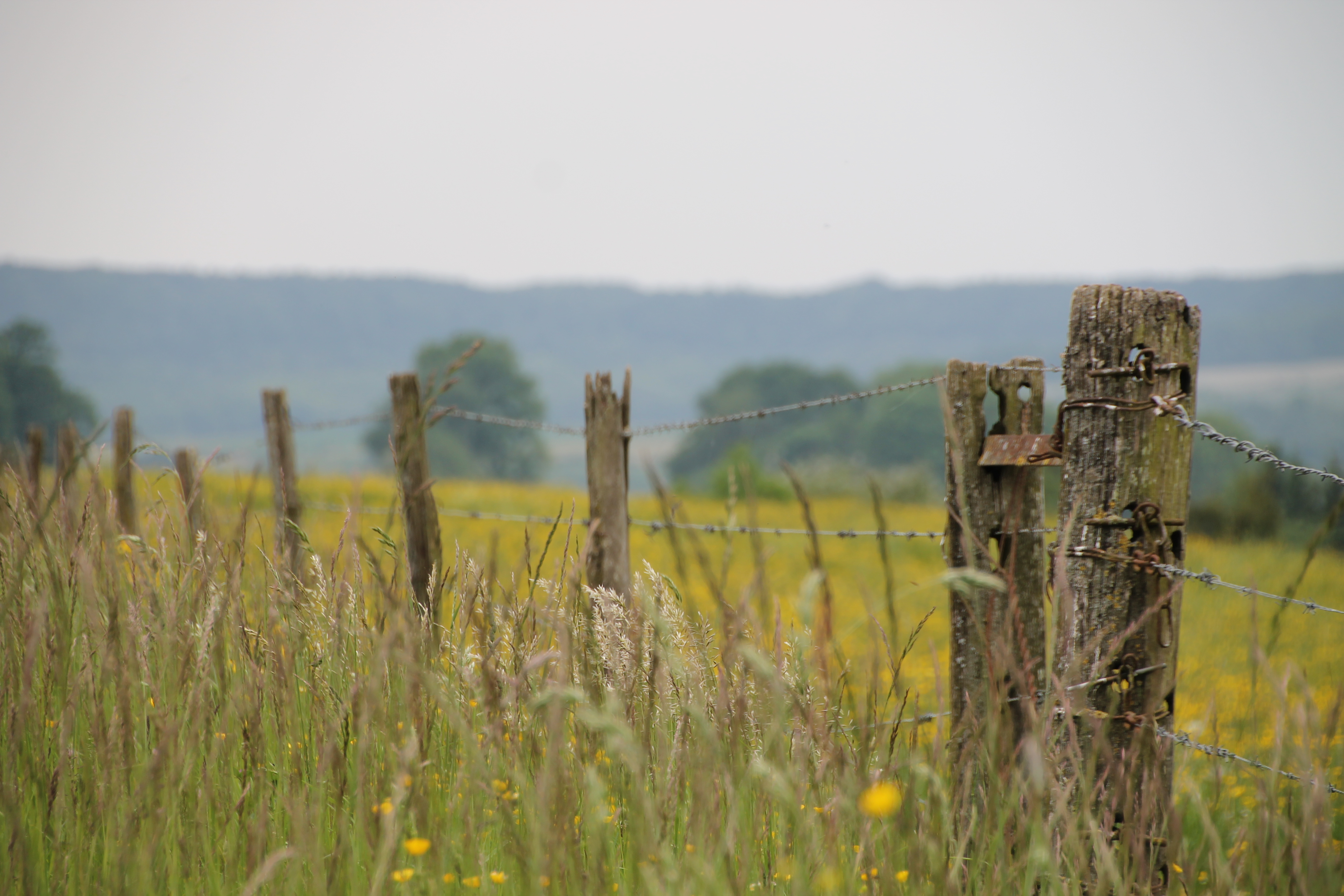 s%C3%A9r%C3%A9nit%C3%A9