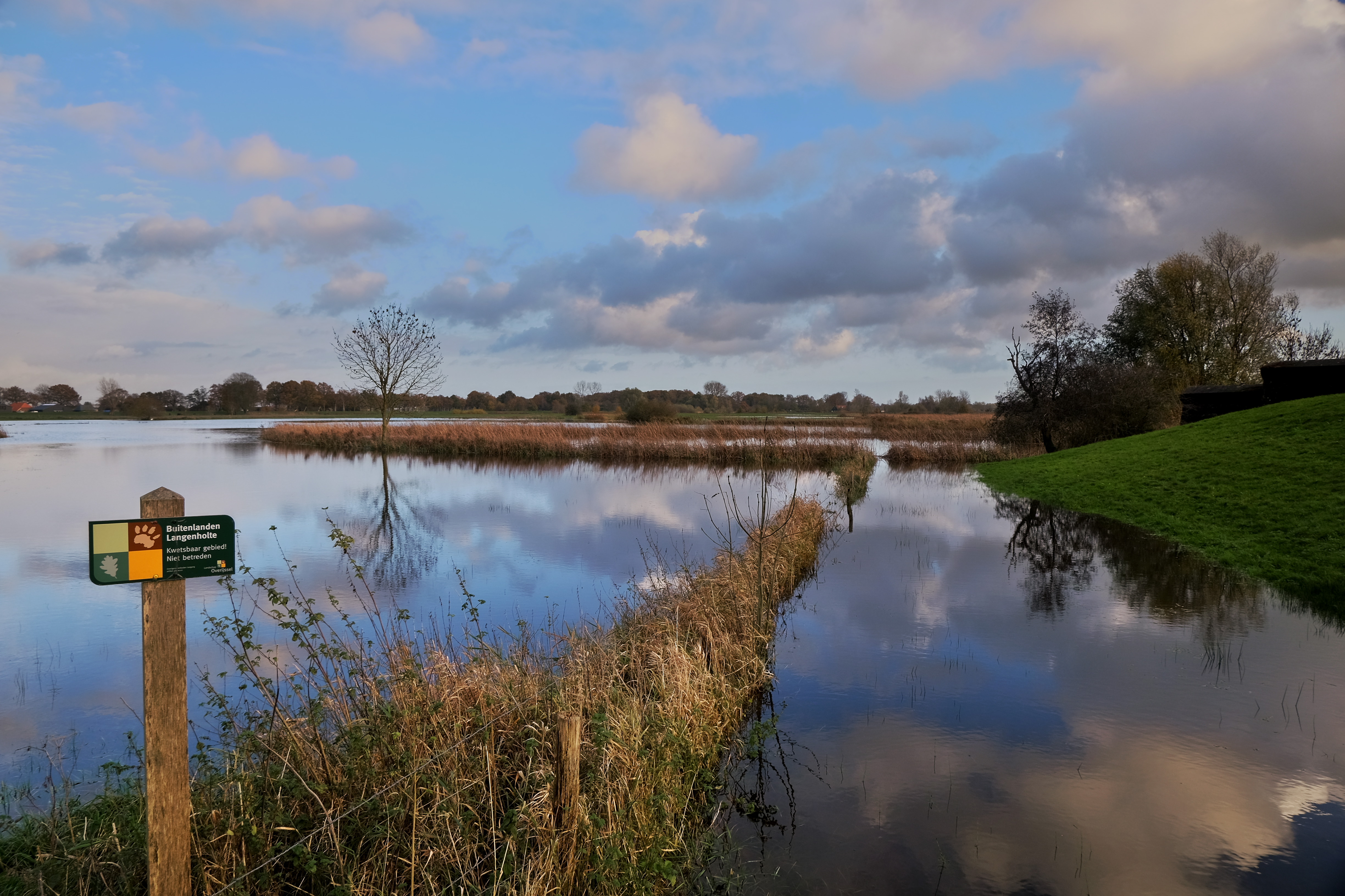 hoogwater-bij-buitenlanden-langenholte-zwolle