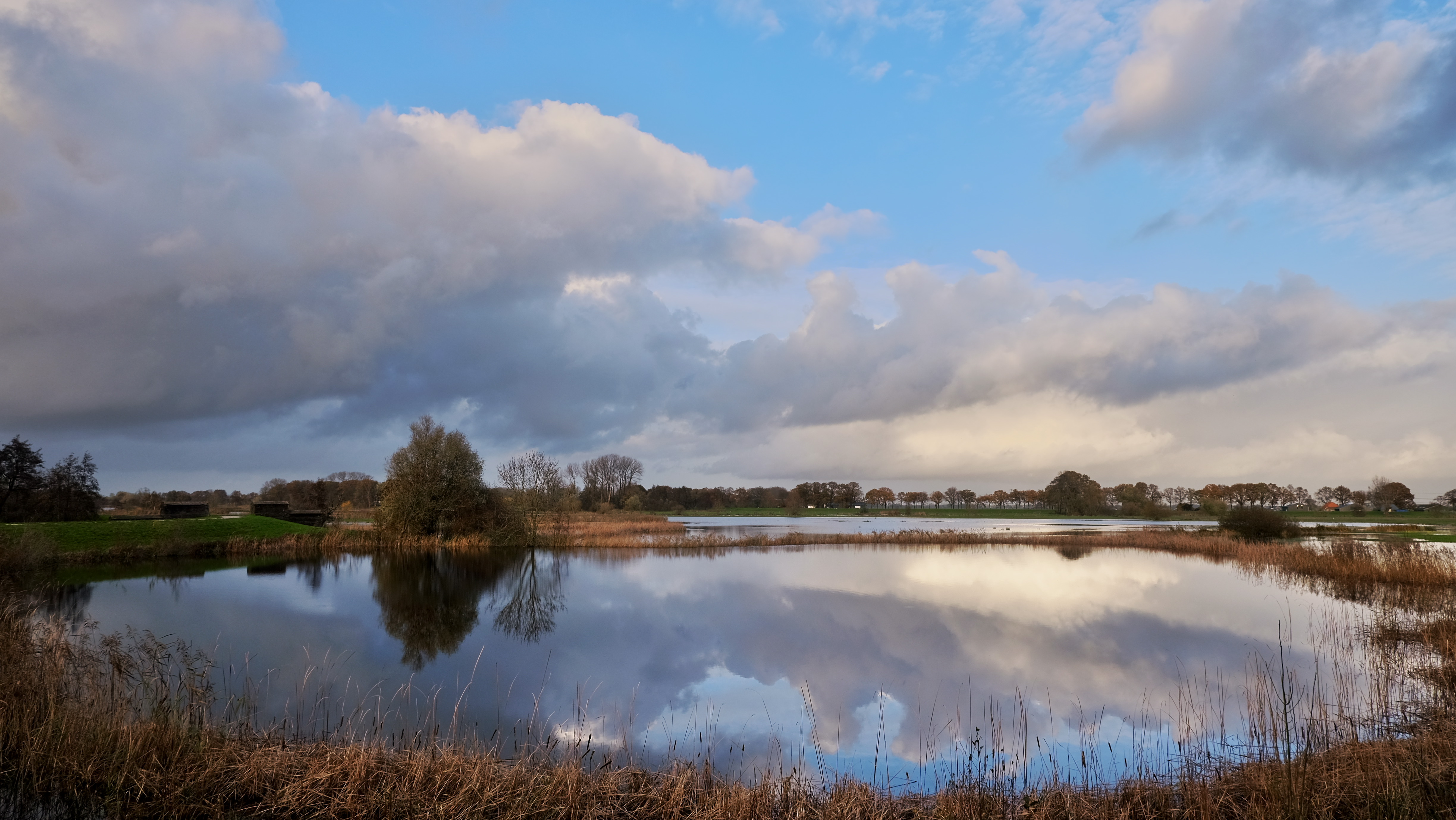 hoogwater-bij-de-overijsselse-vecht-zwolle