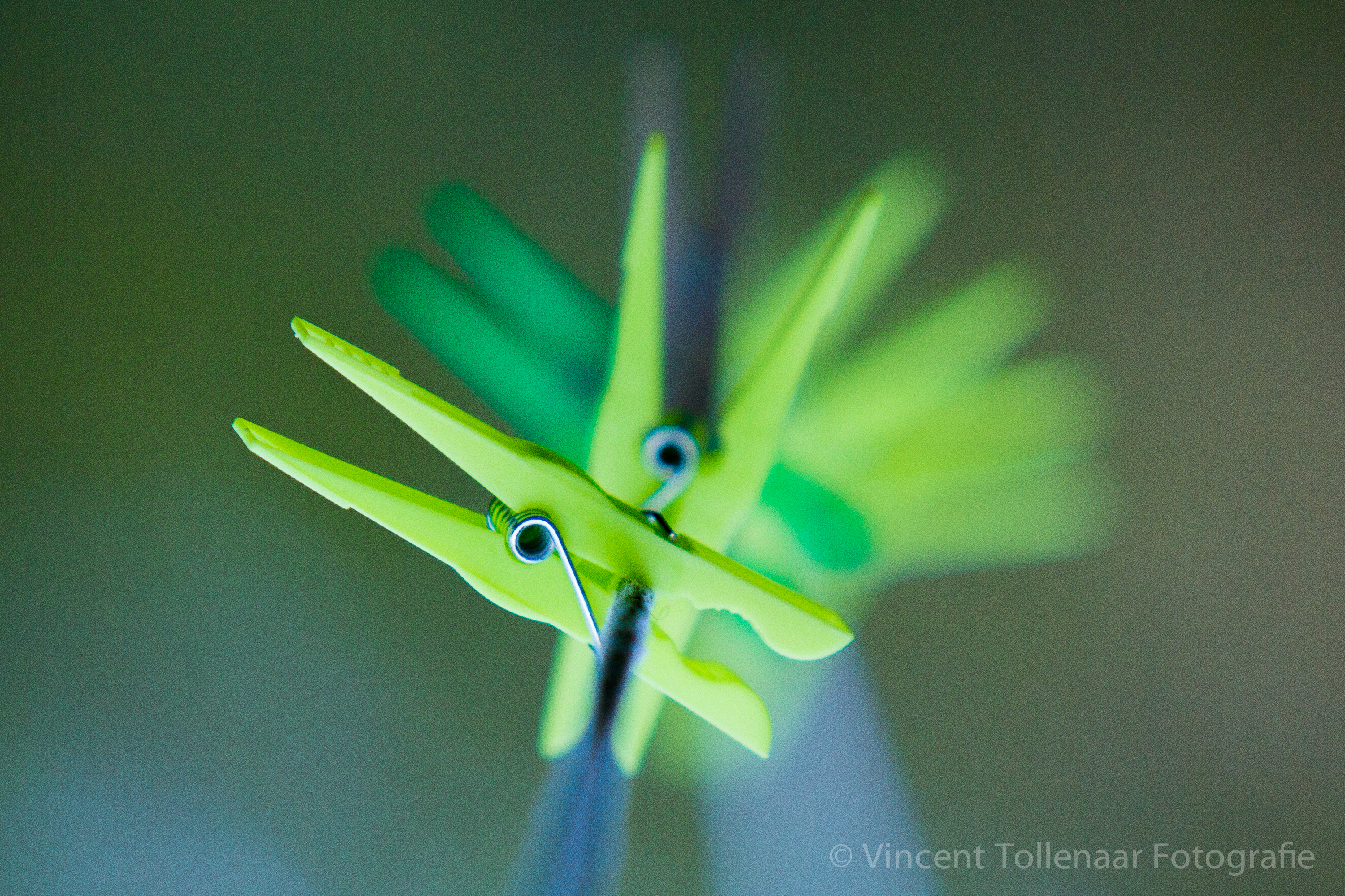 vreemde-vogelgetekend-met-onscherpte