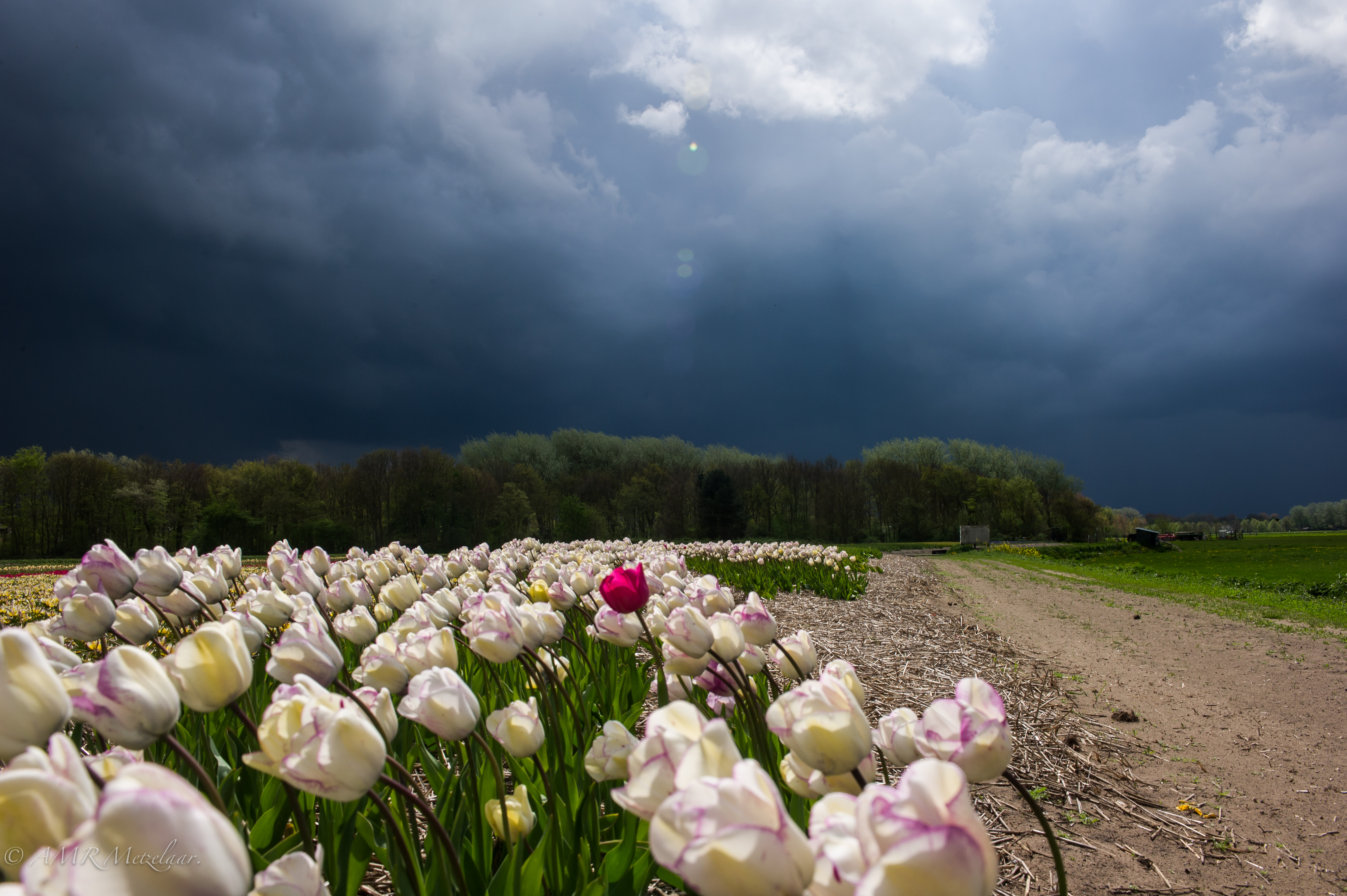 and-then-i-see-a-darkness