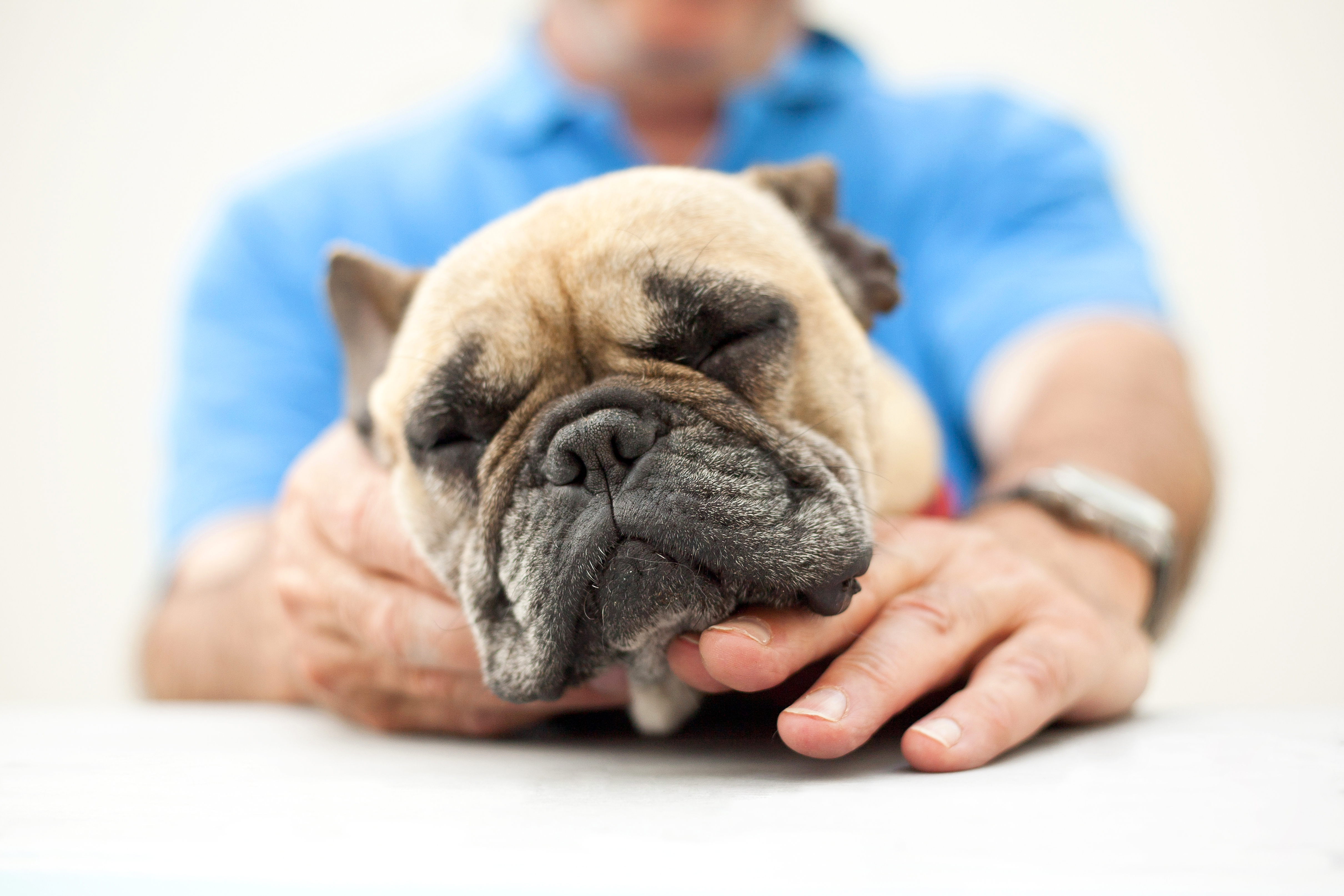 lulu-wordt-gekriebeld