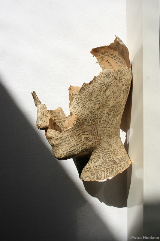 faceboek-hoofdstuk-i-lost-for-translation-e3