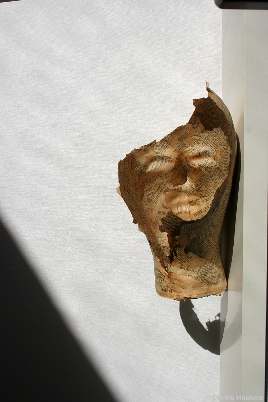 faceboek-hoofdstuk-i-lost-for-translation-c1