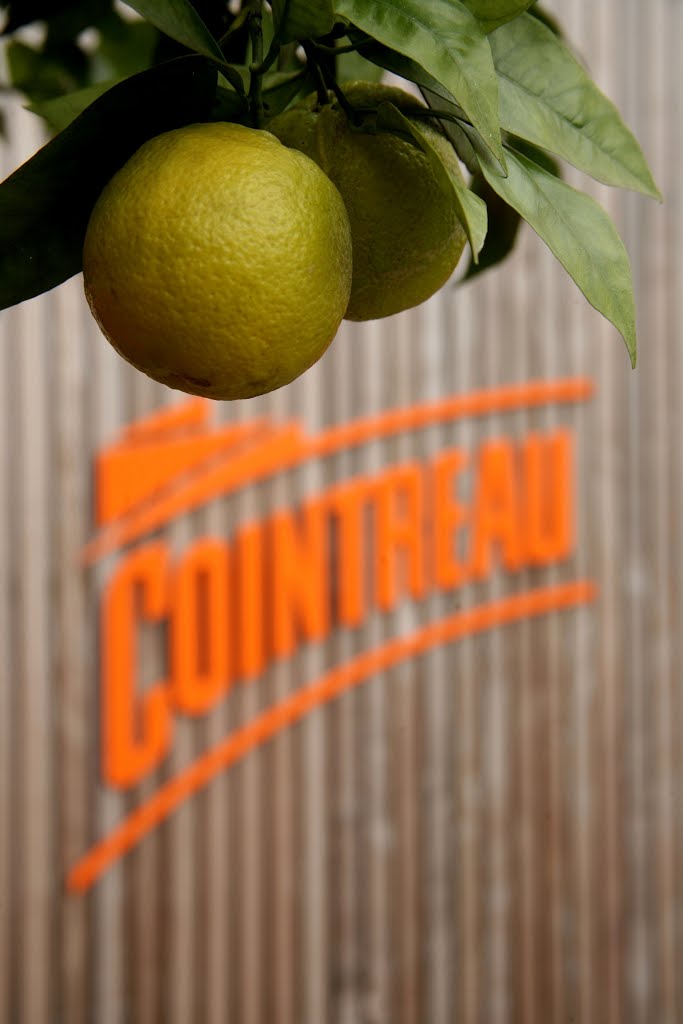 the-origins-of-cointreau