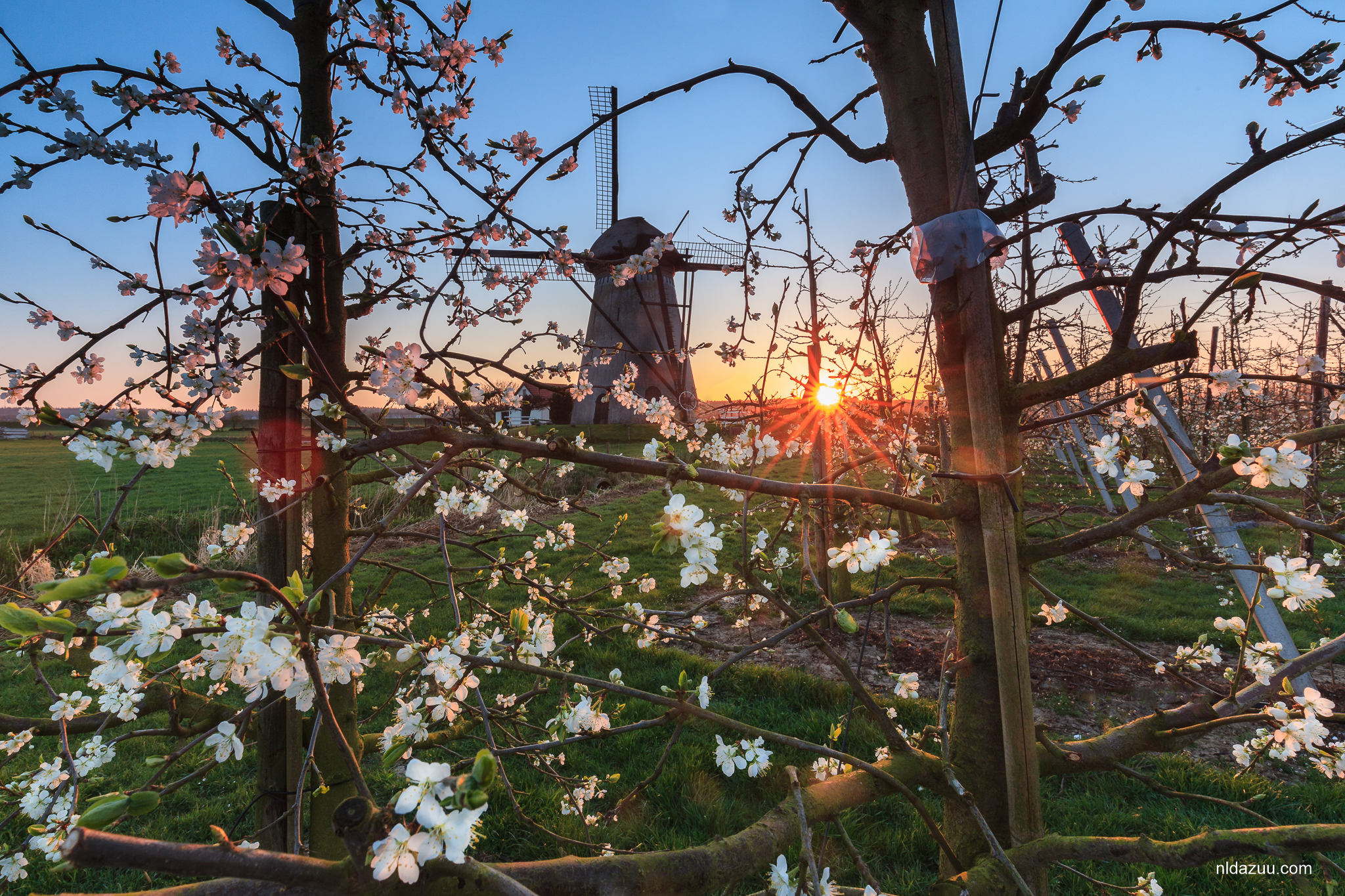 lentegevoel-in-de-betuwe