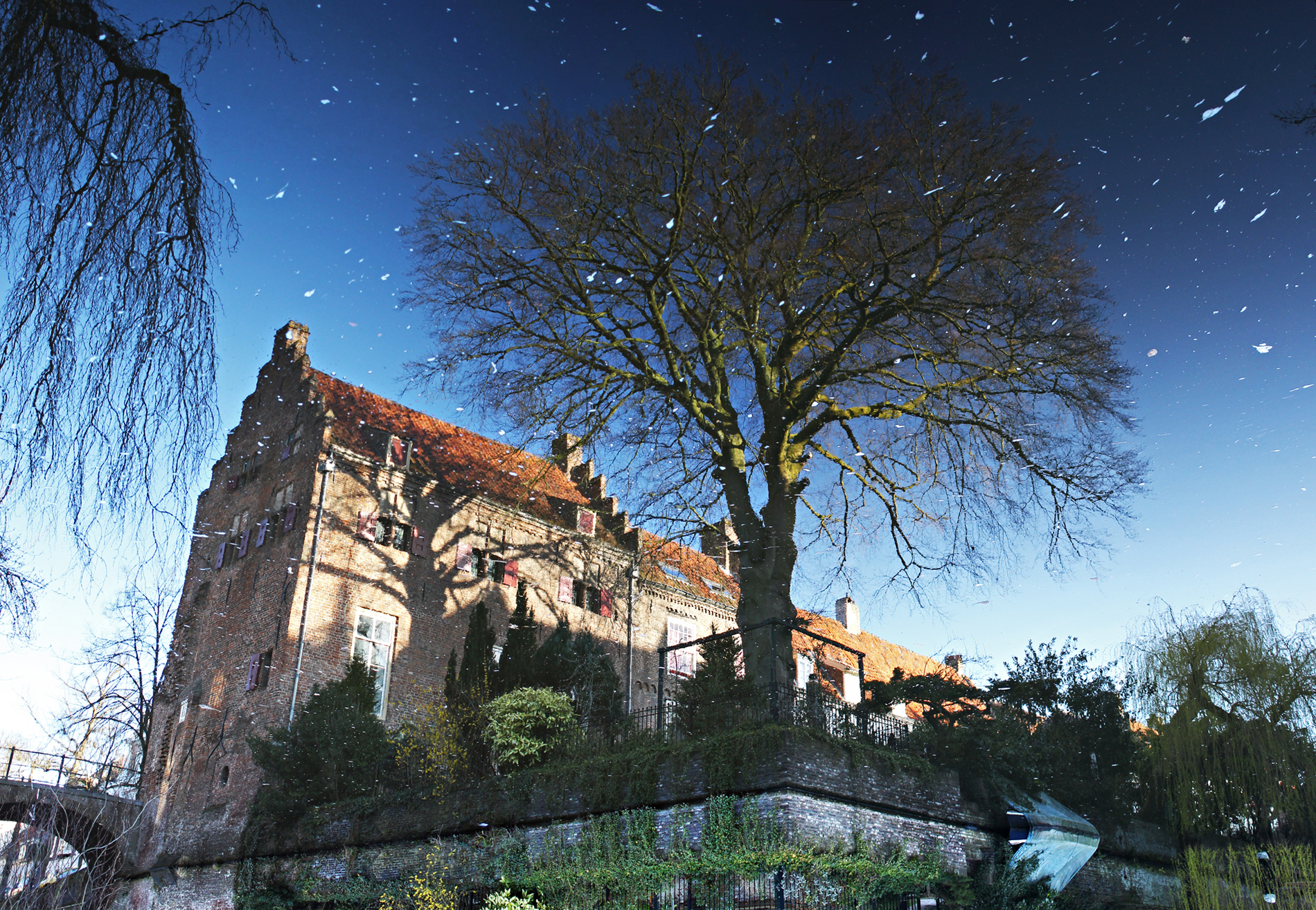 verwaterde-ochtendzon