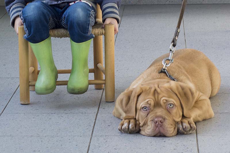 wachten-bij-de-dierenarts