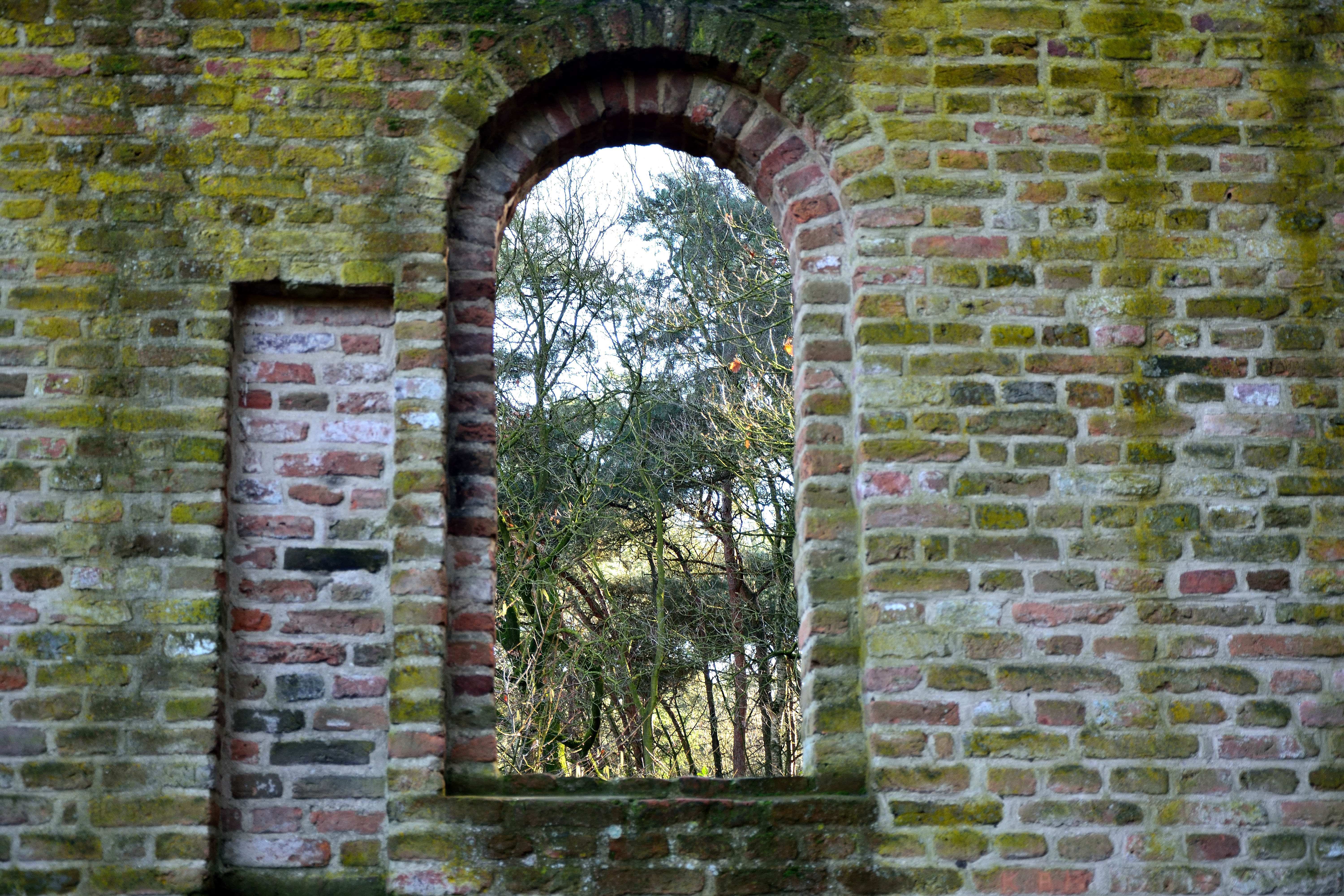 window-view