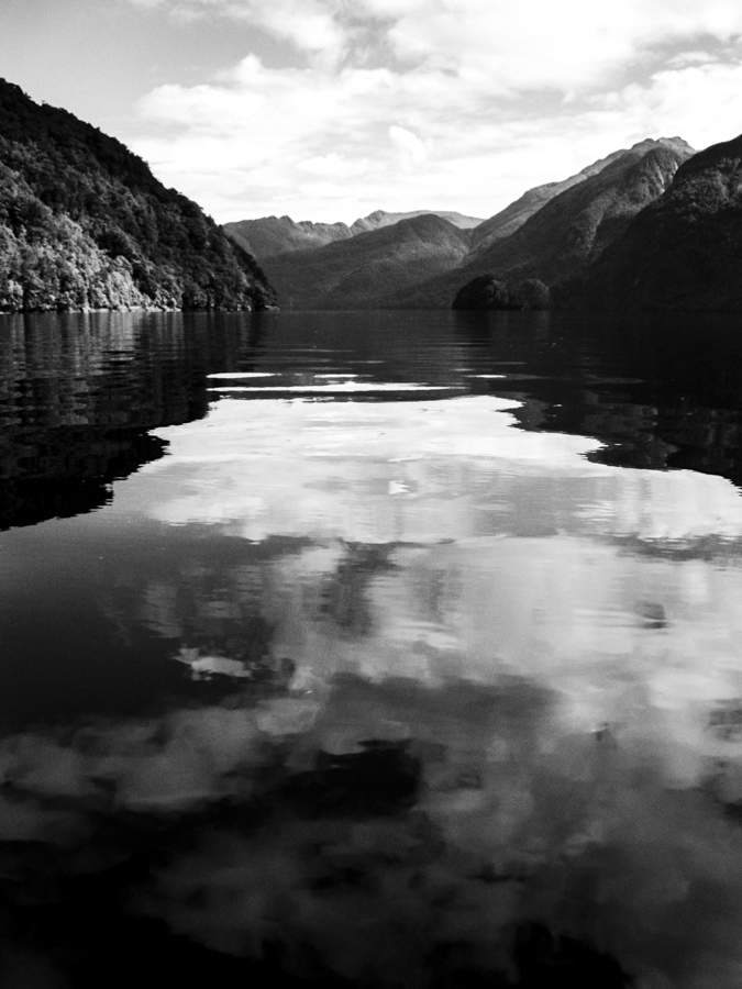 landschap-in-zwart-wit-1