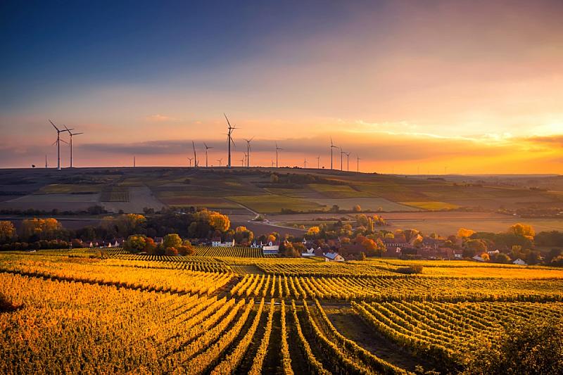 niu-en-blyde-benelux-accelereren-overgang-naar-groene-steden
