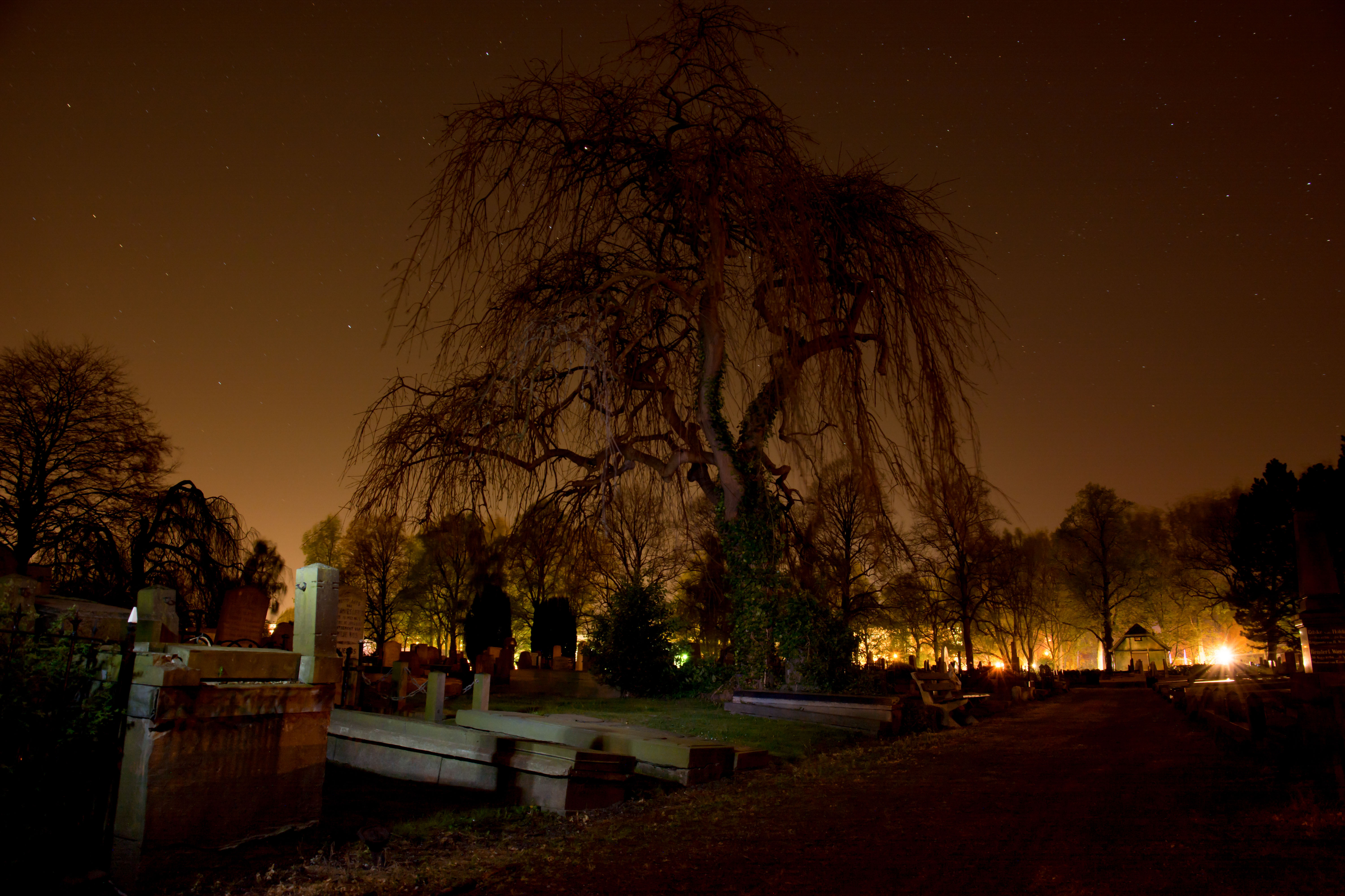 graveyard-at-night