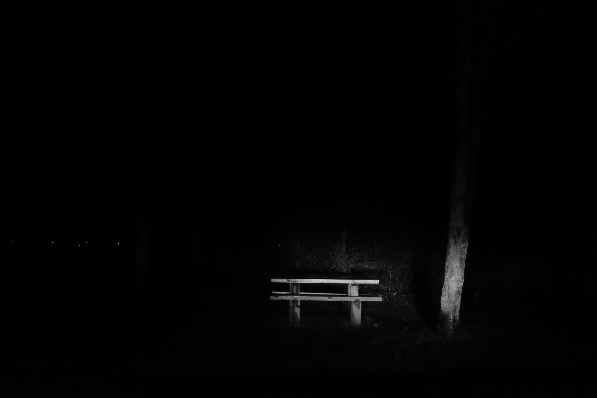 the-bench