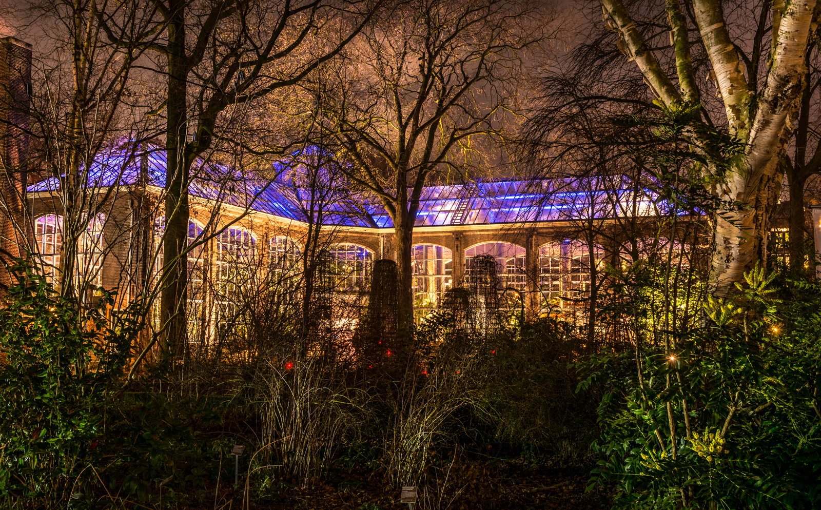 hortus-botanicus-adam