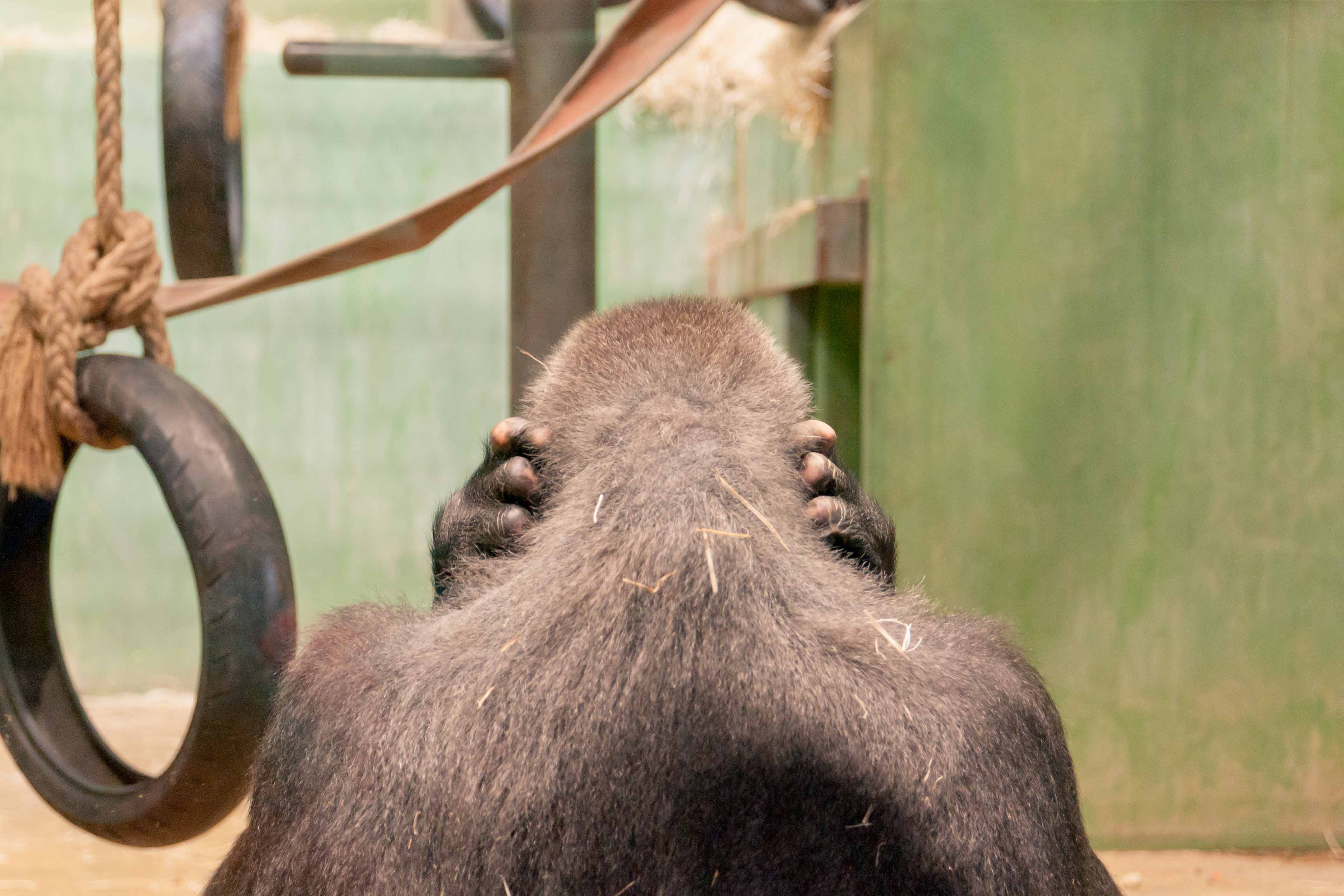 i-dont-want-to-hear-this