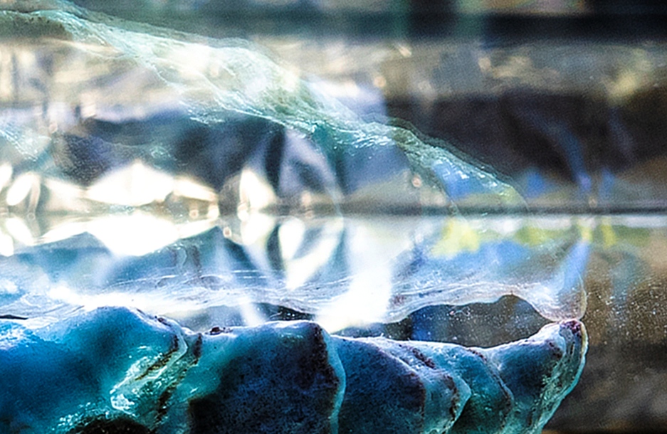 op-het-scherp-van-de-snede