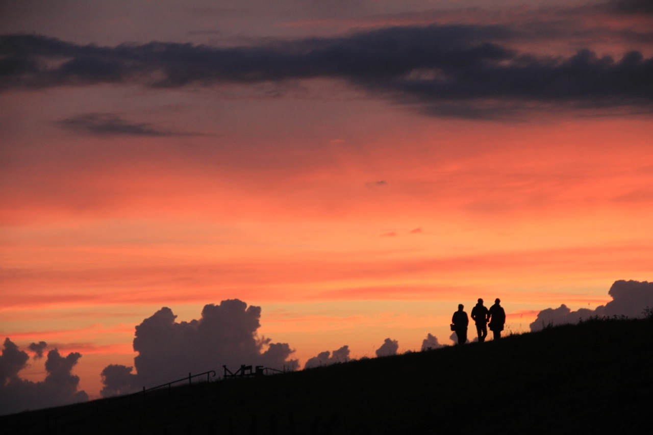 not-home-before-dark