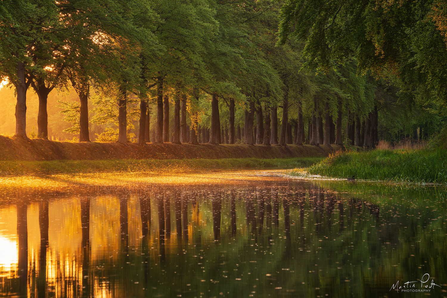 sunset-reflections