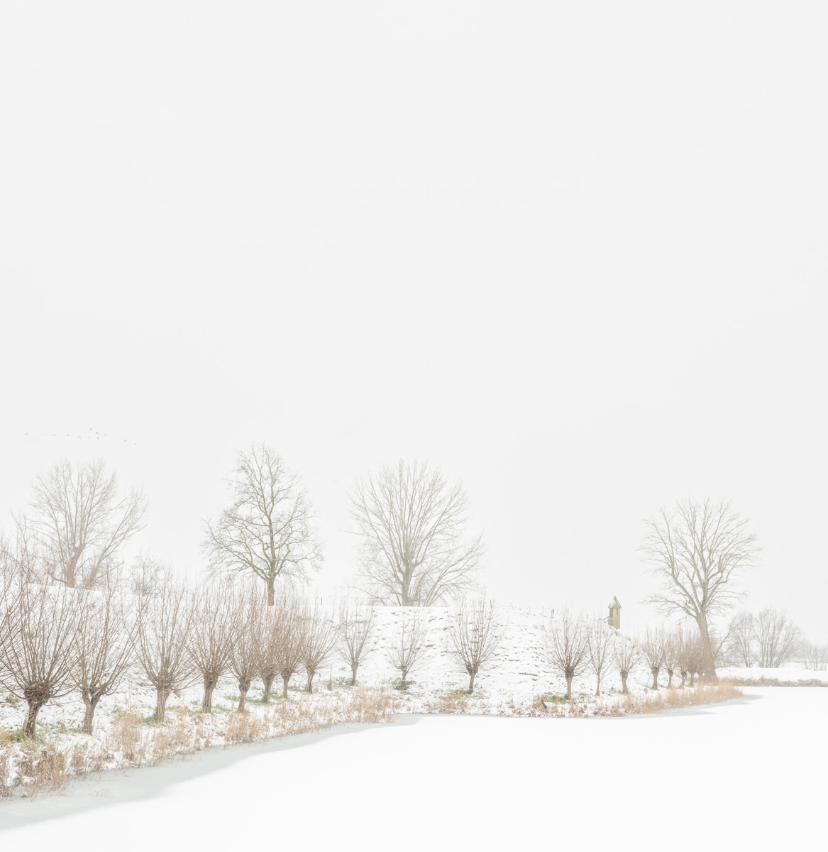 torentje-slot-loevestein