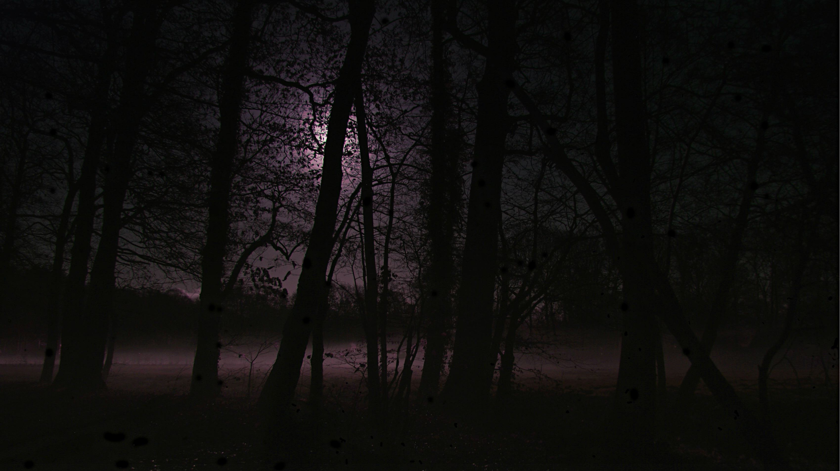 maanlicht-boven-mist