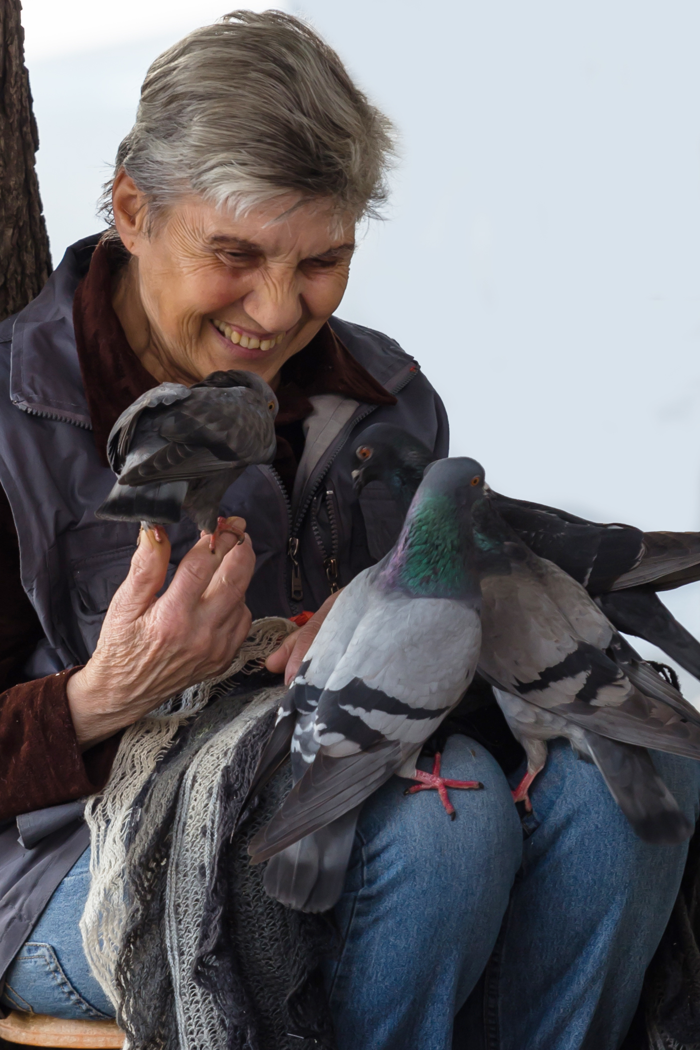 poor-woman-with-pigeons