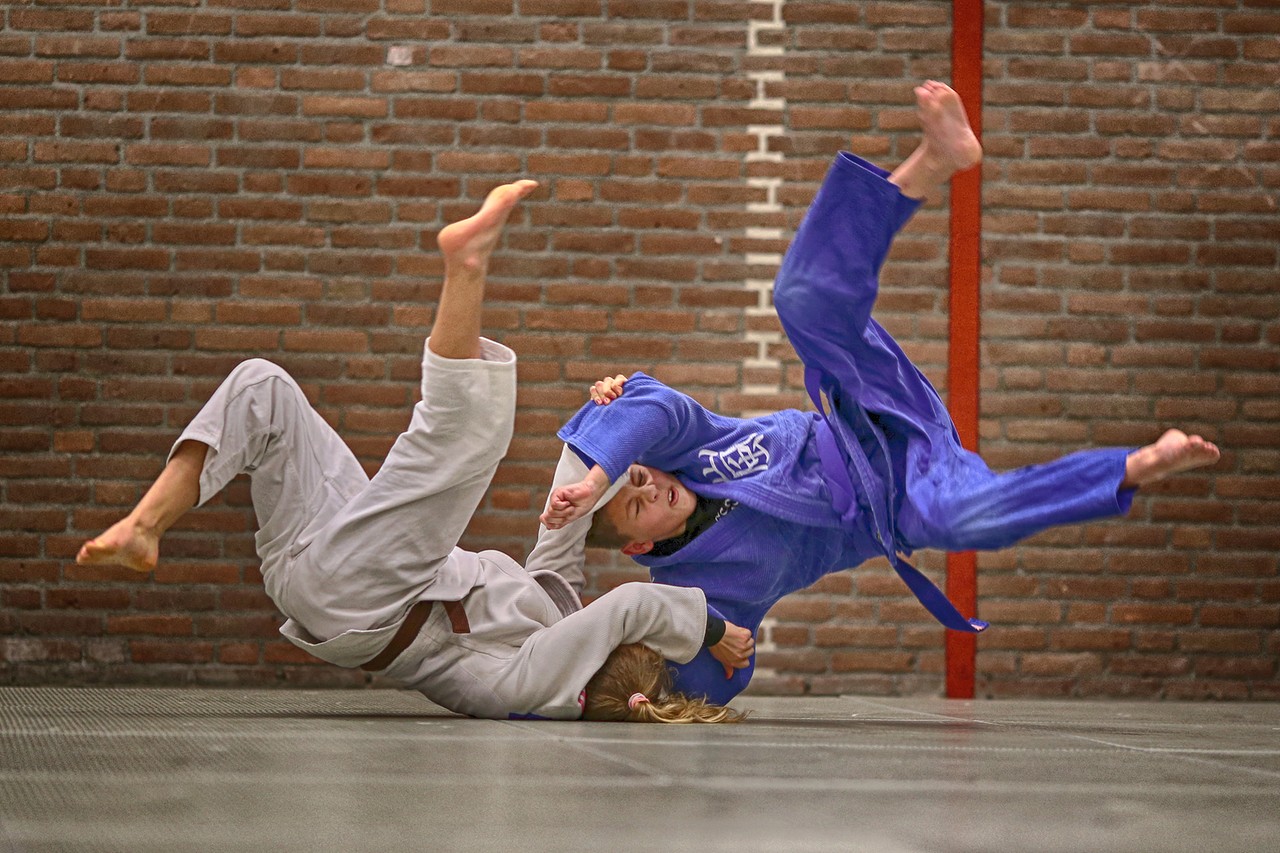 judo