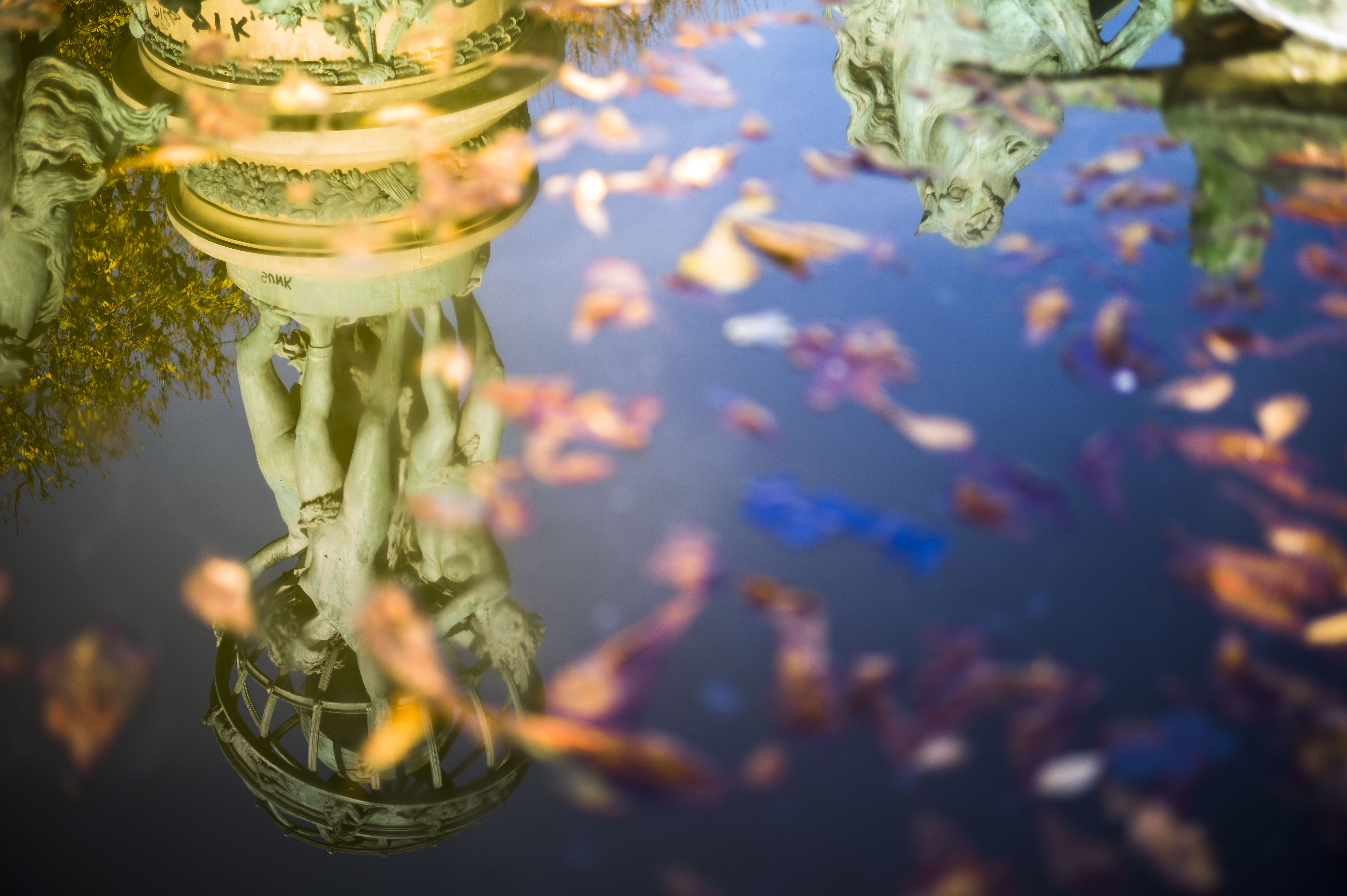 paris-in-a-reflection