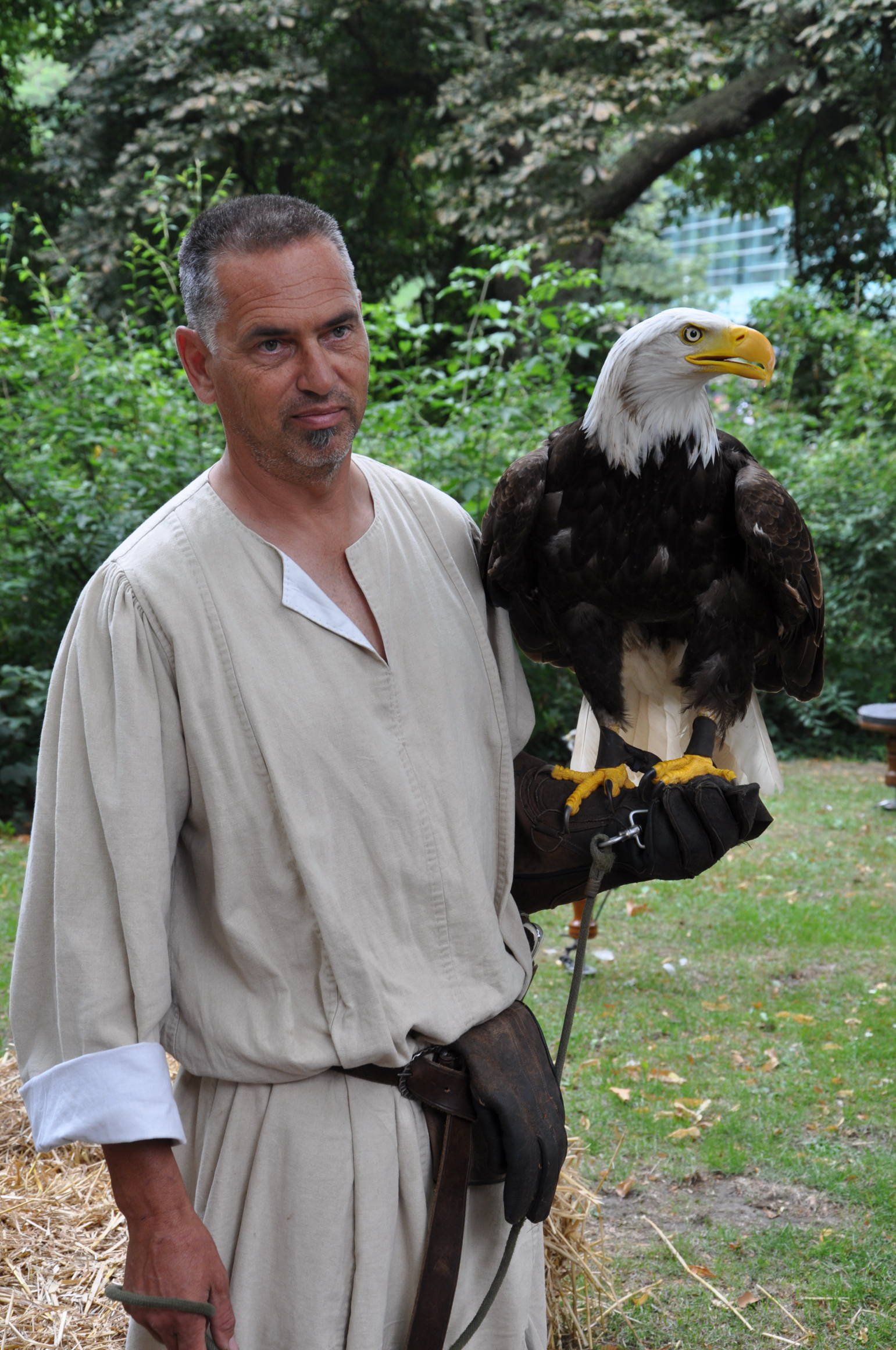 gebr-van-limburgfestival
