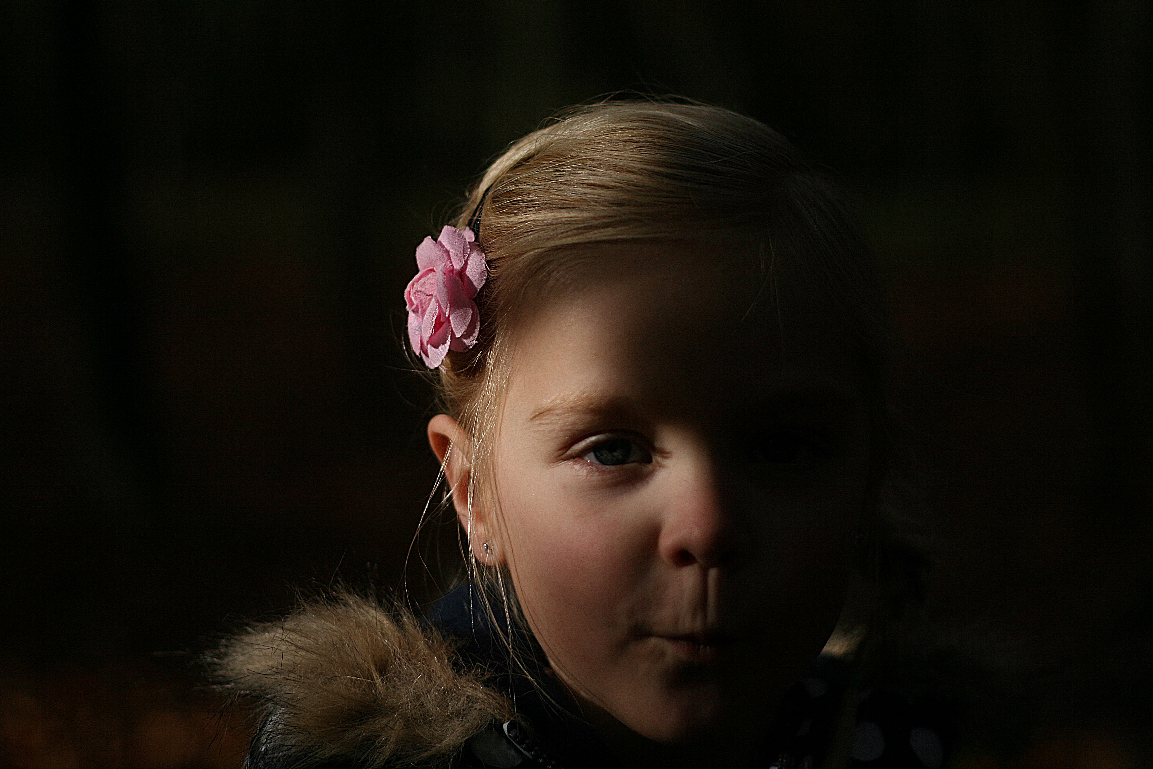 mooie-herfstdag-in-het-bos