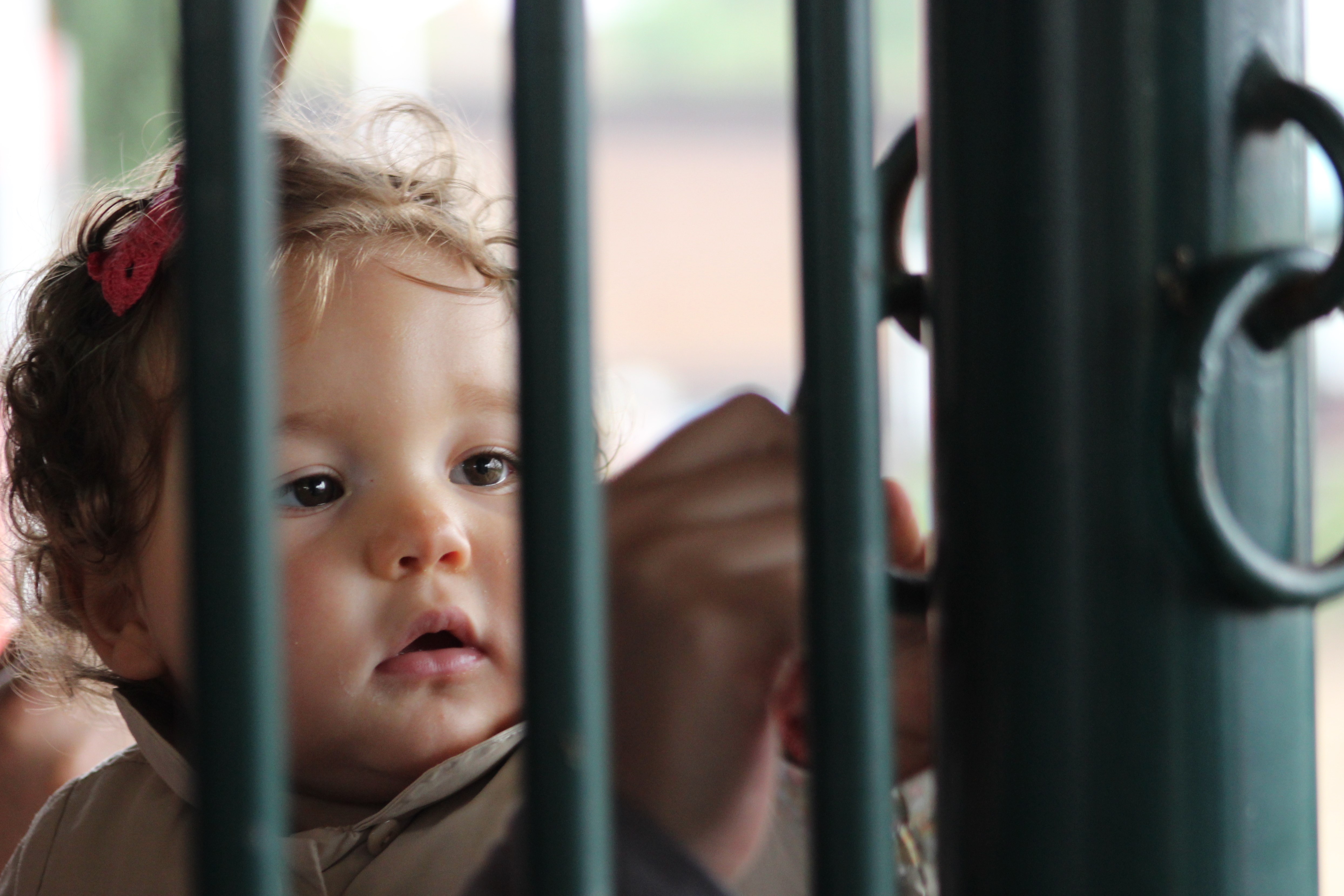 spelen-in-een-paardebox