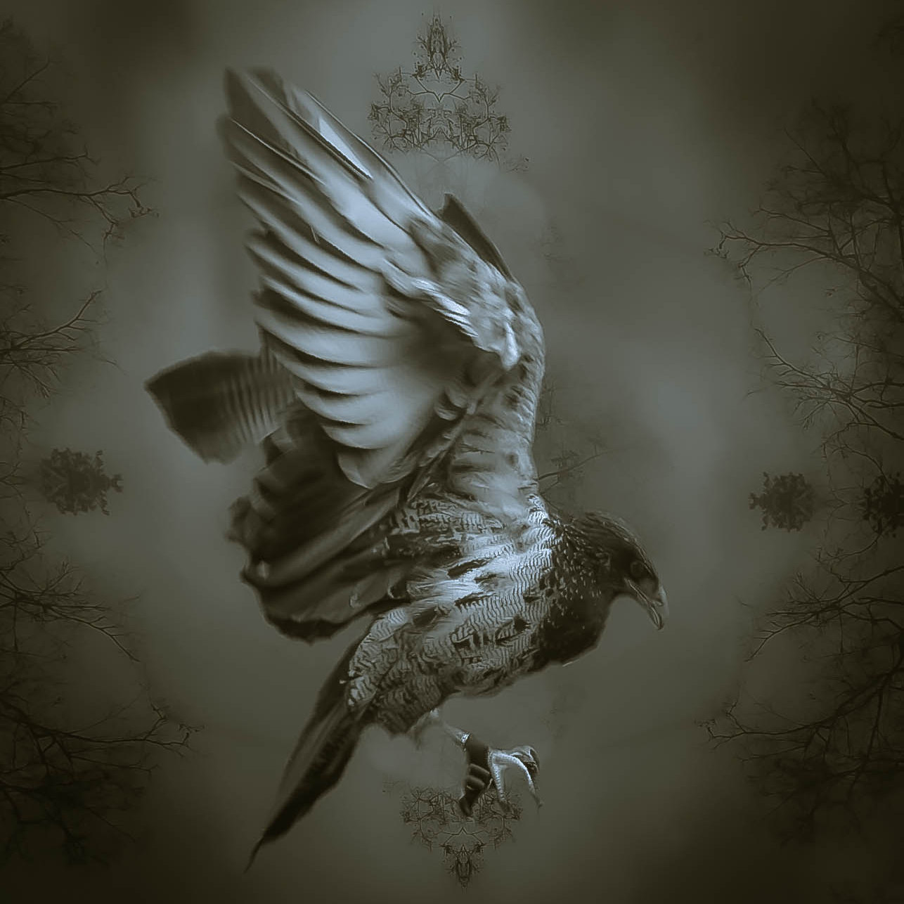 no-title-zonder-titel